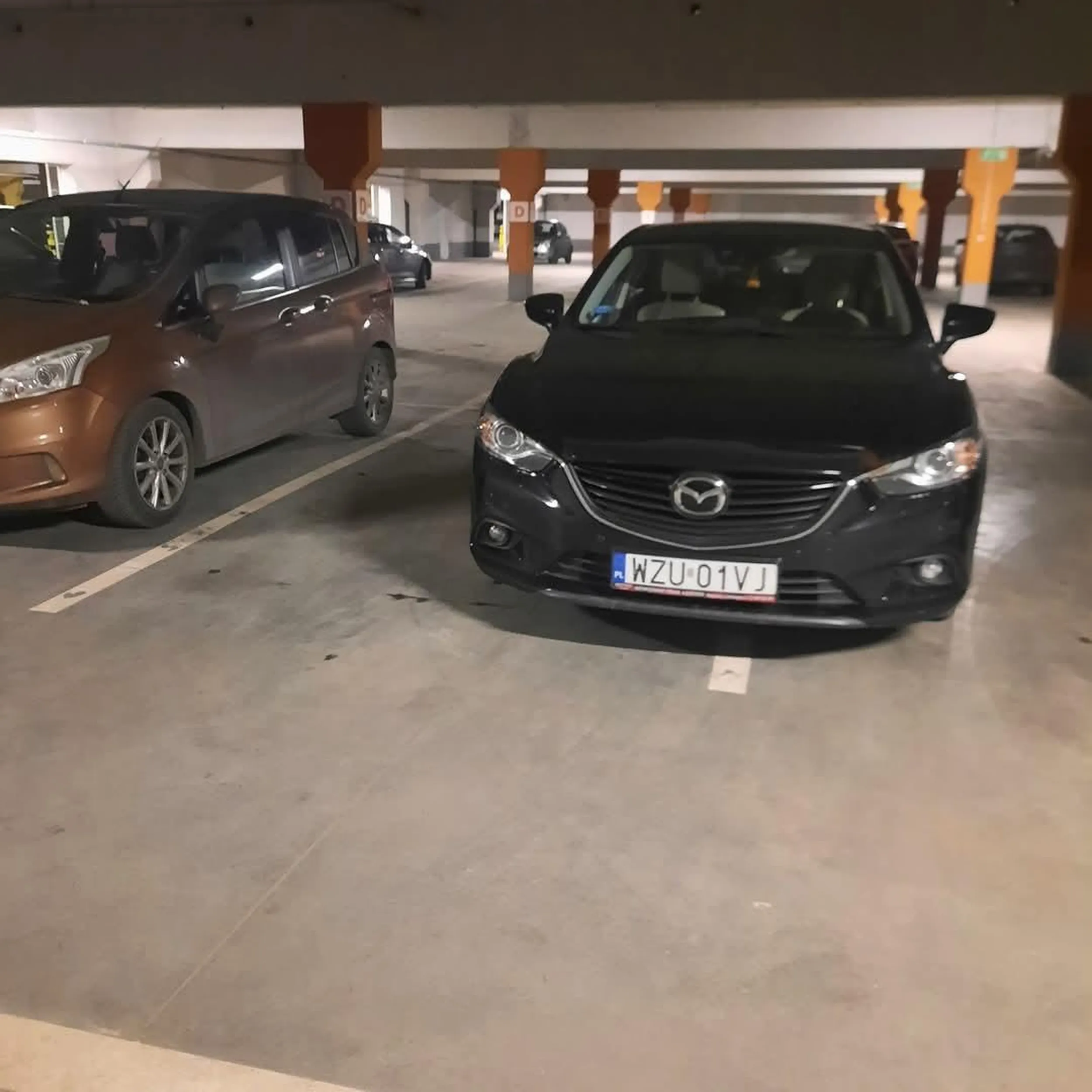 Buractwo pełną gębą