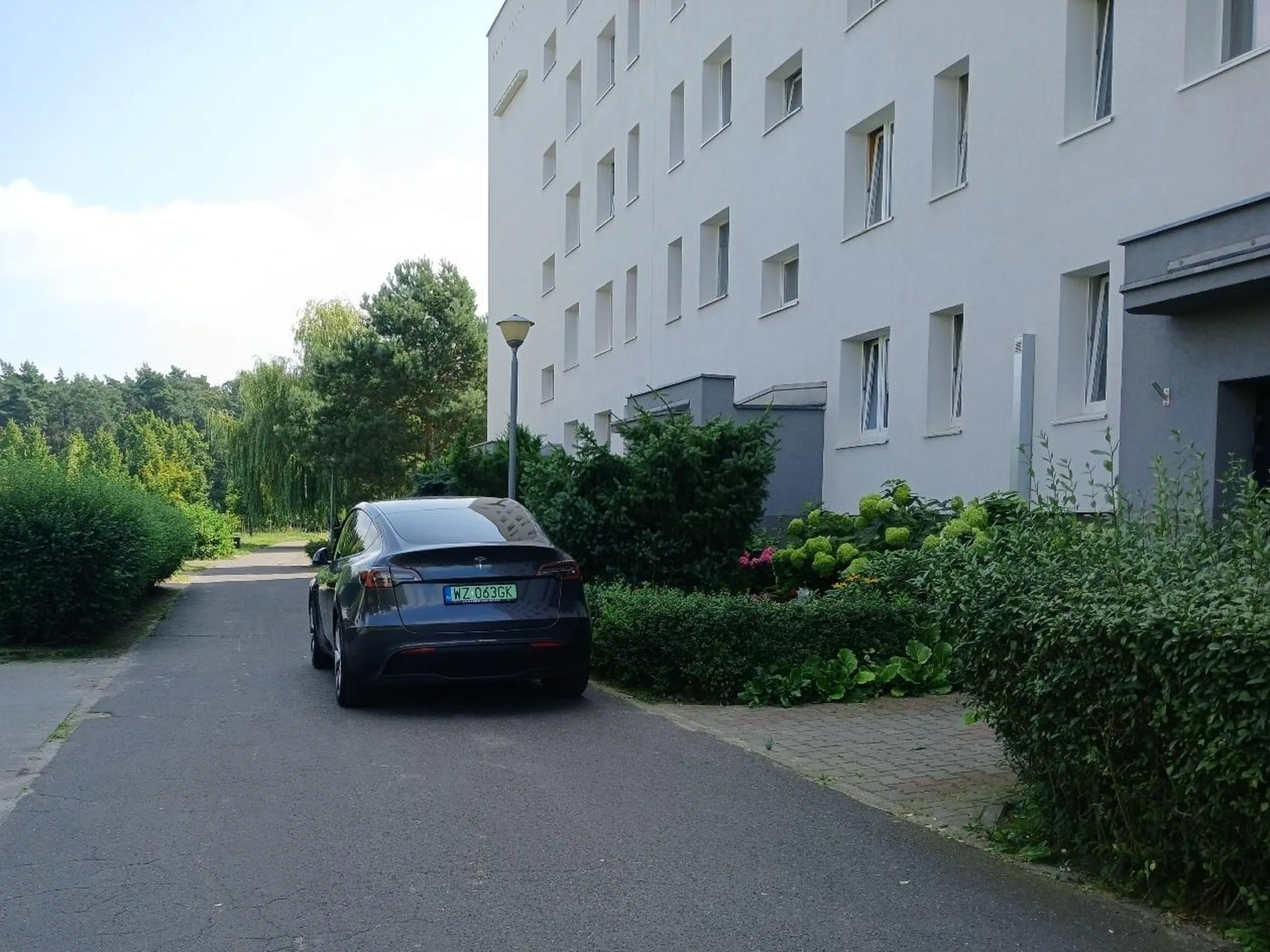 Gamoń jeździ po osiedlowych chodnikach.