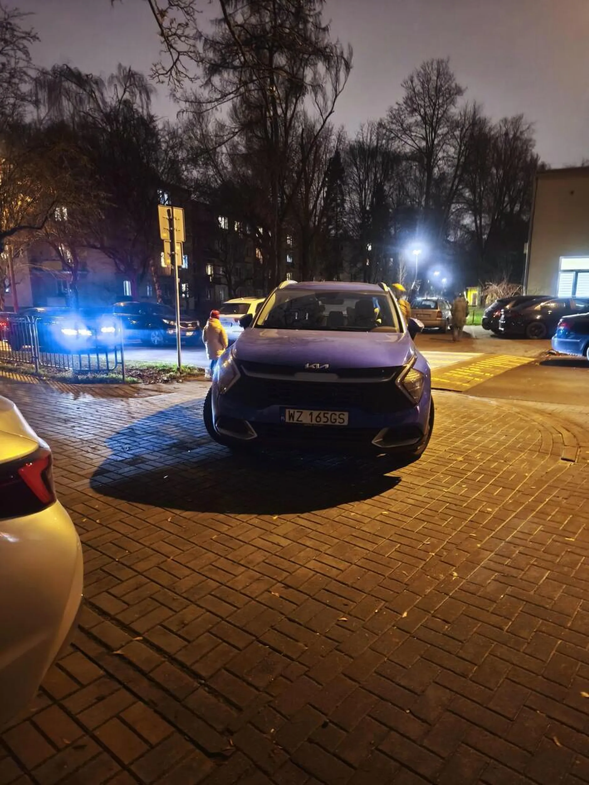 Jakim trzeba być ignorantem, oraz niedorozwojem życiowym, żeby parkować tak pod szkolą?