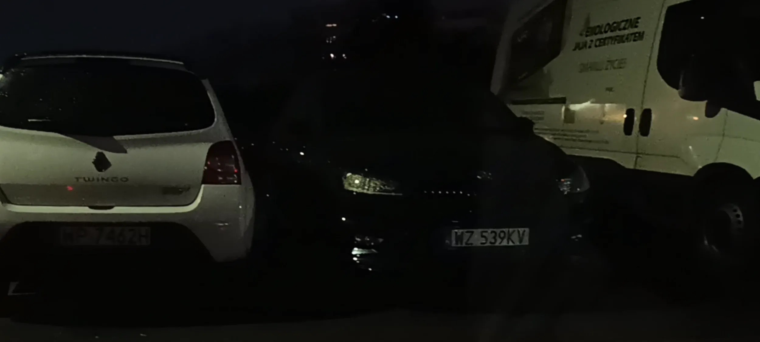 Chamskie parkowanie na trawniku i chodniku na ulicy z zakazem zatrzymywania się i postoju