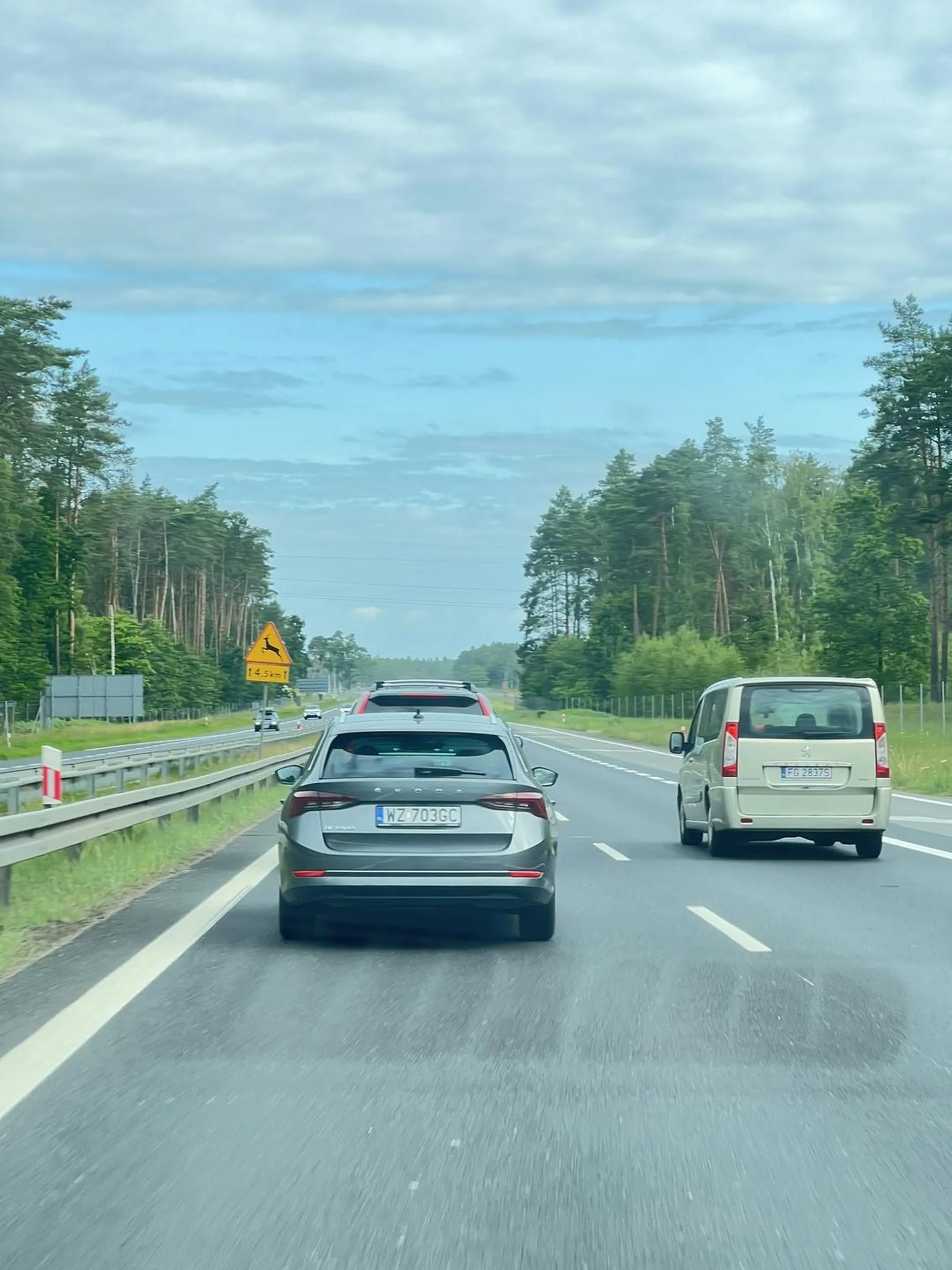 to typowy przedstawiciel, ktory myśli ze wszystko mu wolno, na ekspresówce wyprzedza prawym, cisnie 200km/h, zajeżdża drogę i siedzi na zderzaku (wyprzedzałam jadąc 160)