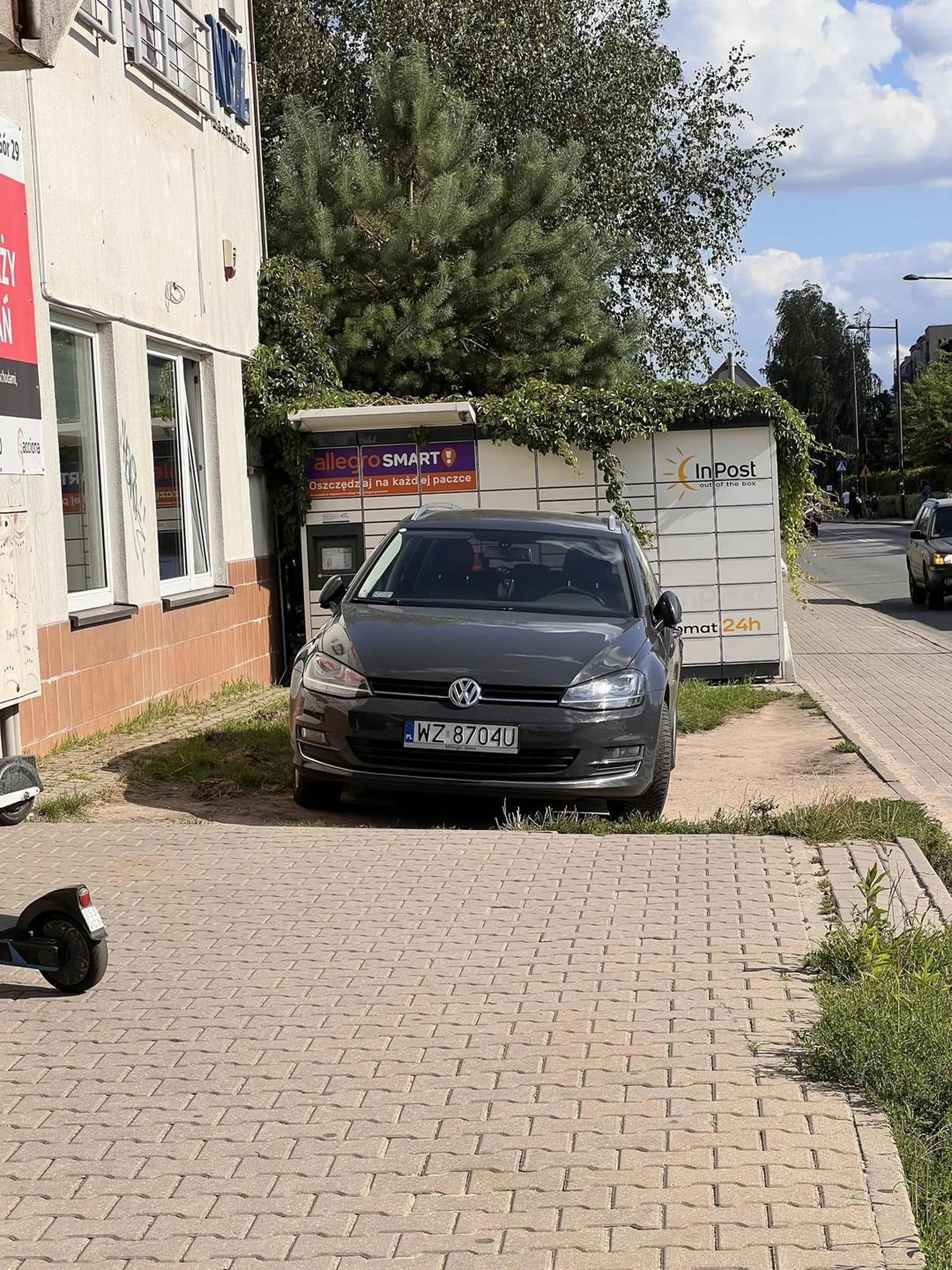 Jeżenie po chodnikach i rozjeżdżanie zieleni wychodzi Ci znakomicie. Nie rozmnażaj się