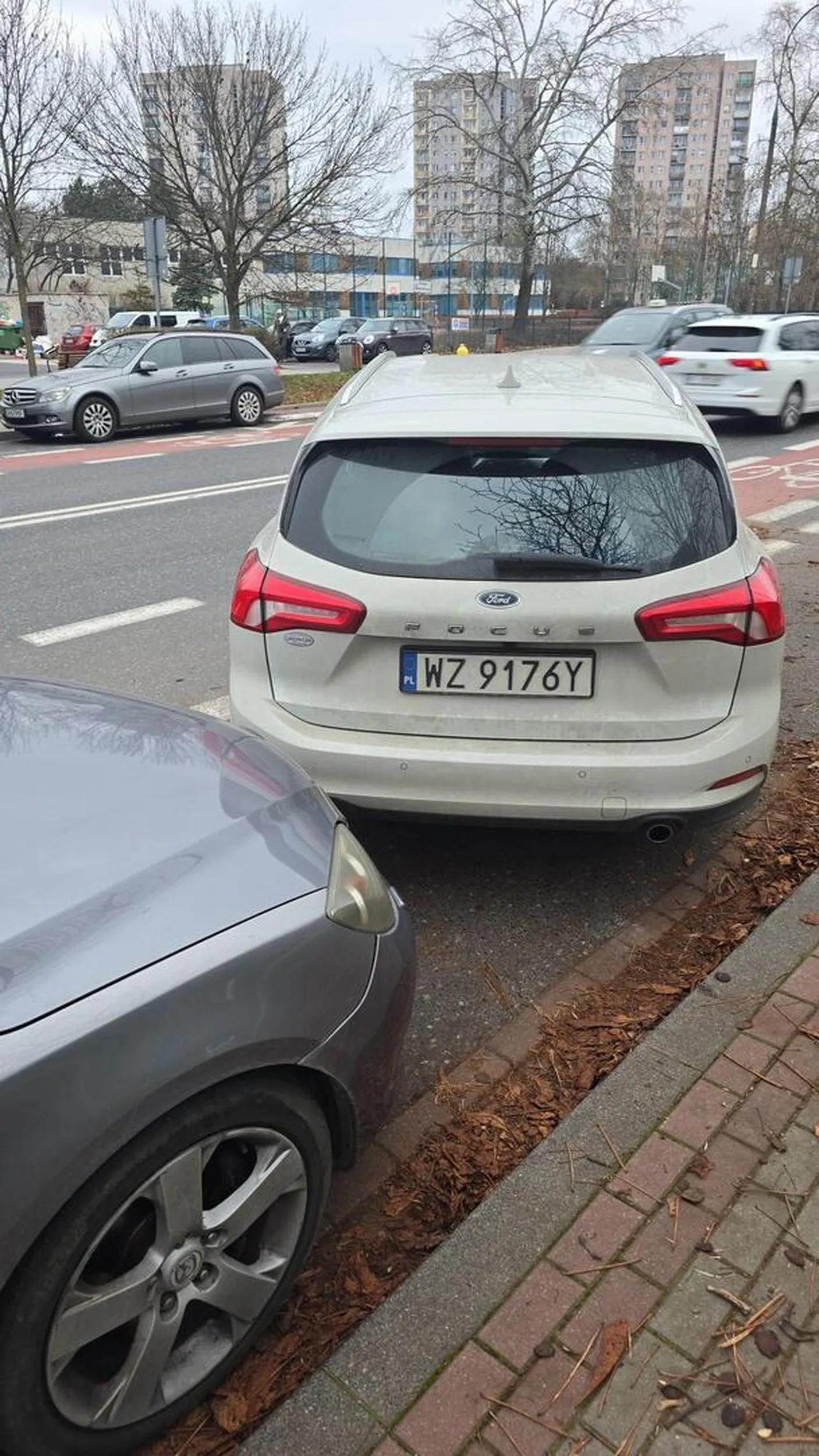 Naucz się parkować kasztanie