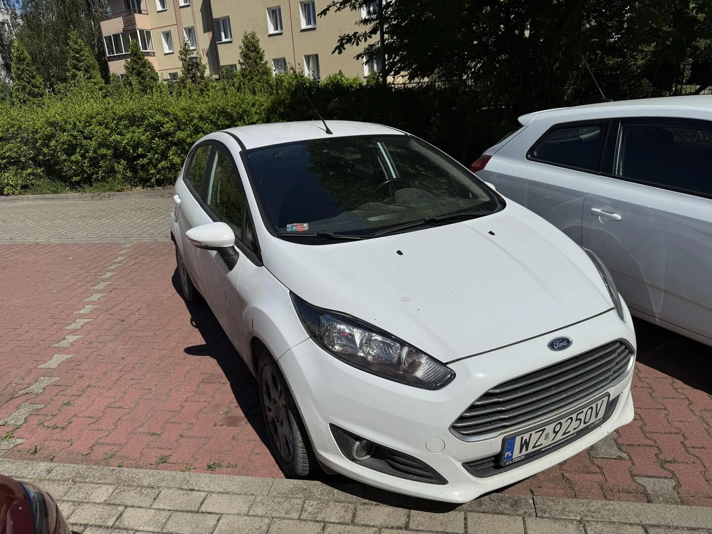 Widze tu zaniedbania w rozwoju umyslowym.. trafienie miedzy dwie linie autem wykracza poza umiejetnosci? To proponuje rower