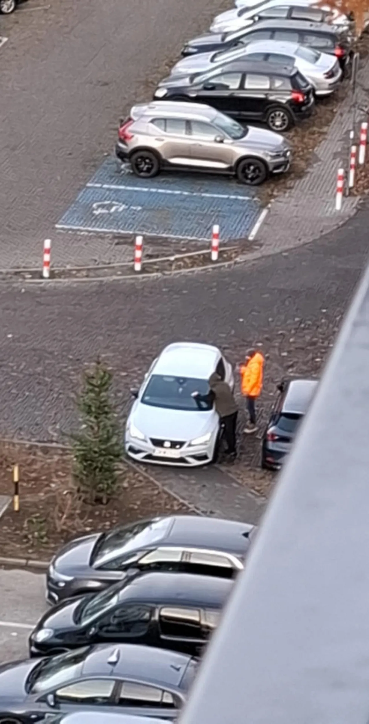 Bezmózgowie , karny qtas za parkowanie