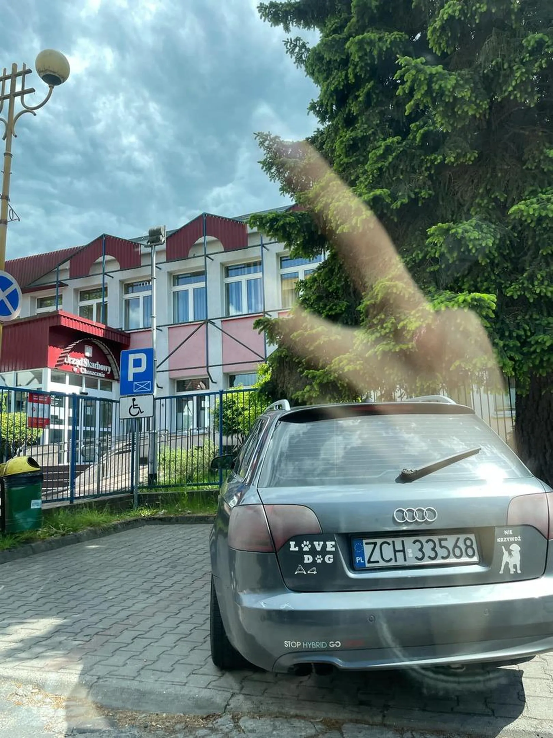 Naucz sie parkowac auto na pol drogi wystaje stajesz na miejscu dla niepelnosprawnych a naklejki zadnej nie ma sytuacja ta sie powtarza wieloktronie ciagle na miescie gdy go widze jezdzi bardzo szybko i odjezdza z piskiem opon