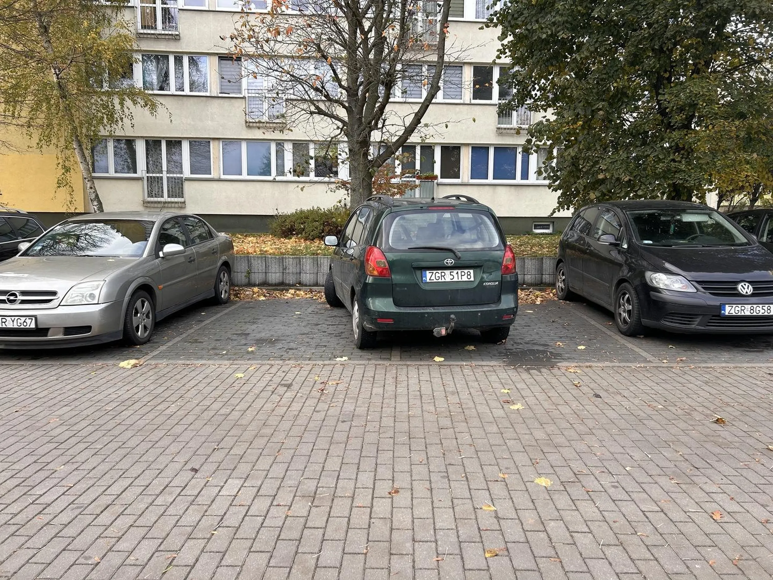 Mistrz parkowania ??