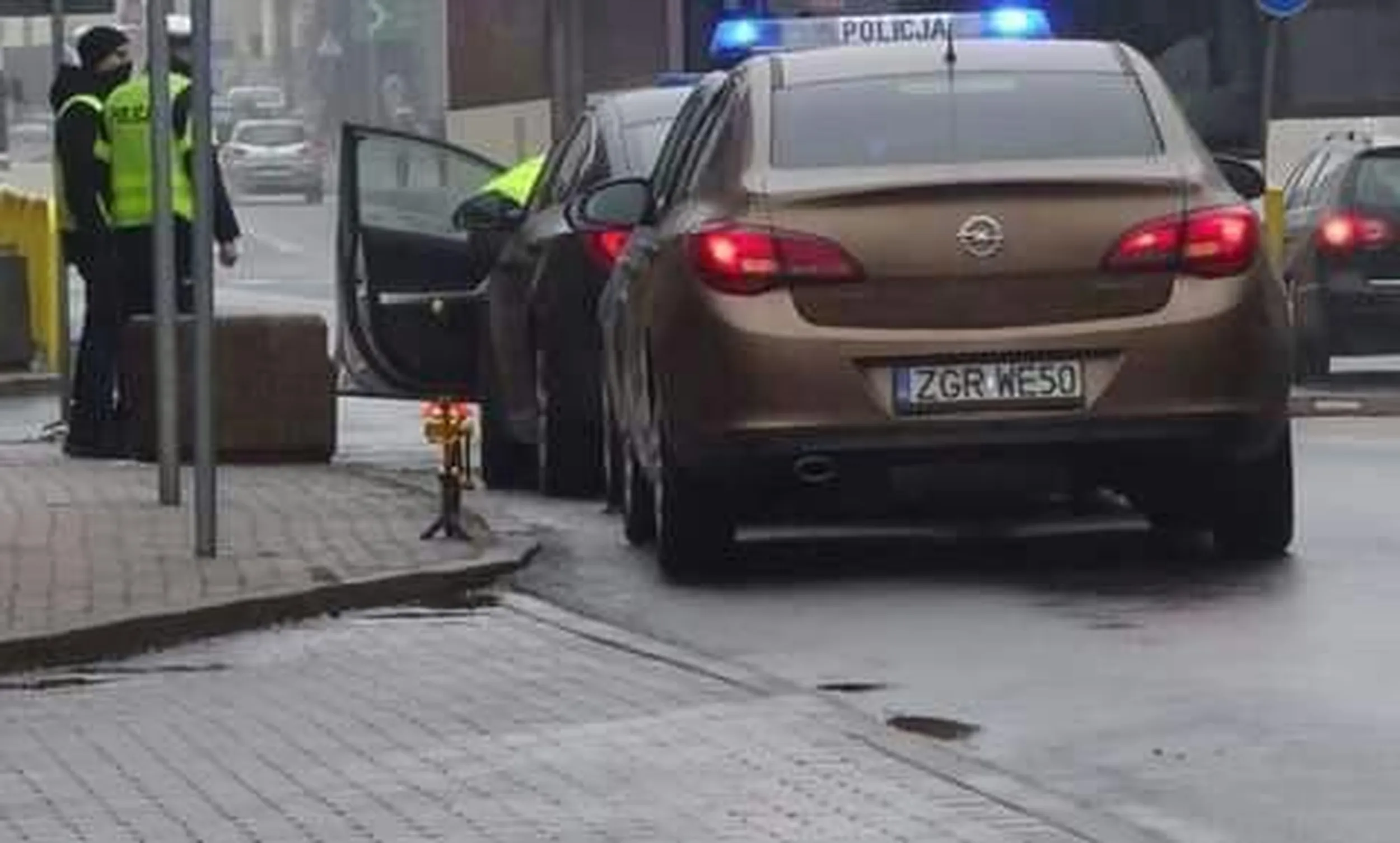 kremowy opel insignia psy!