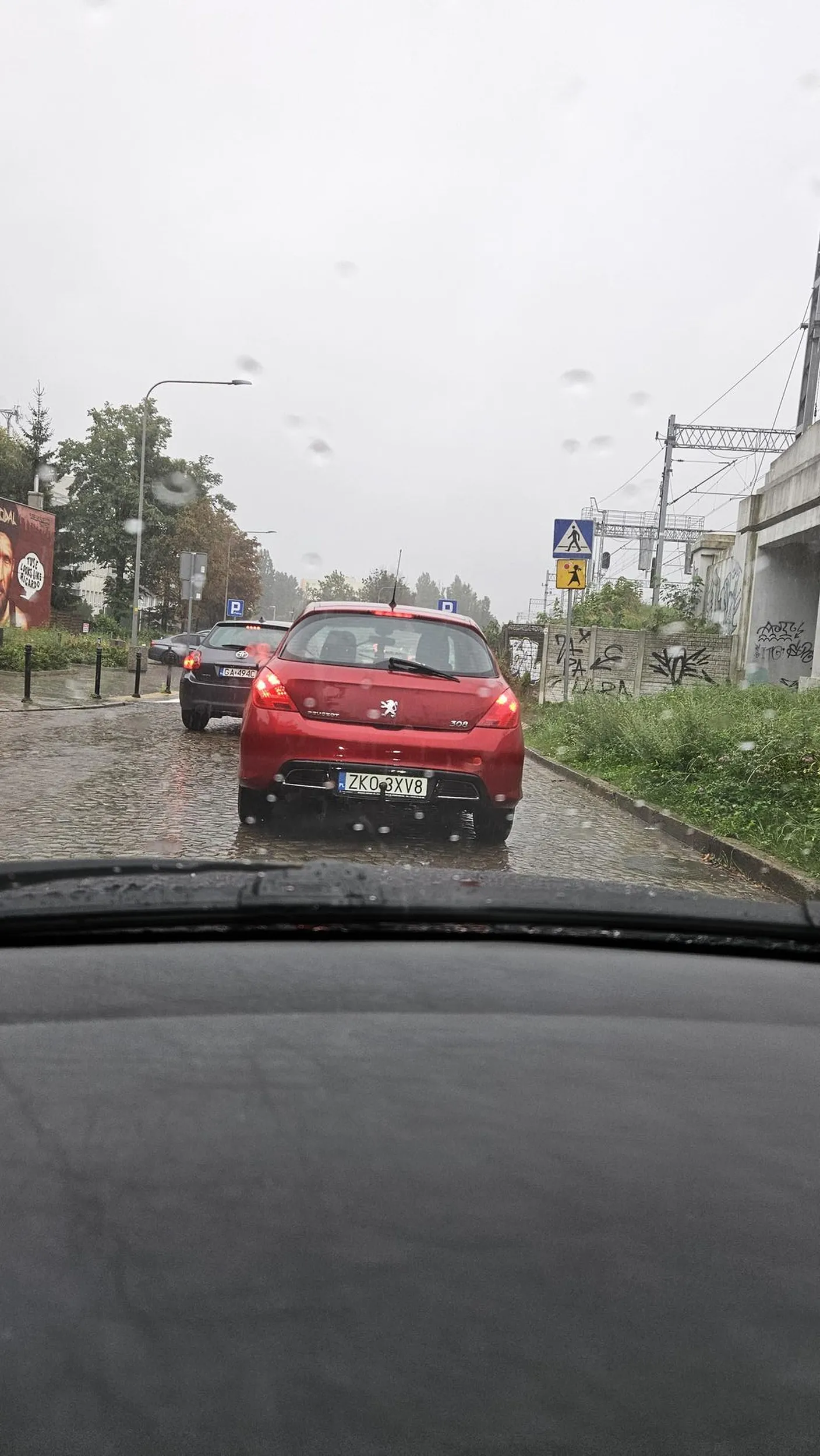 Wyrzuca peta przez okno