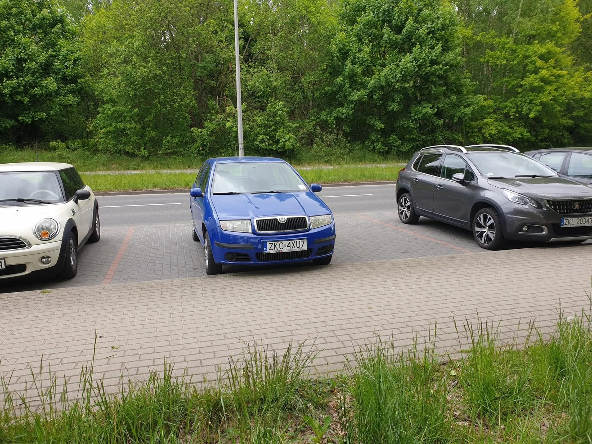 pozdrawiam kierowcę, idealnie zaparkowane autko
