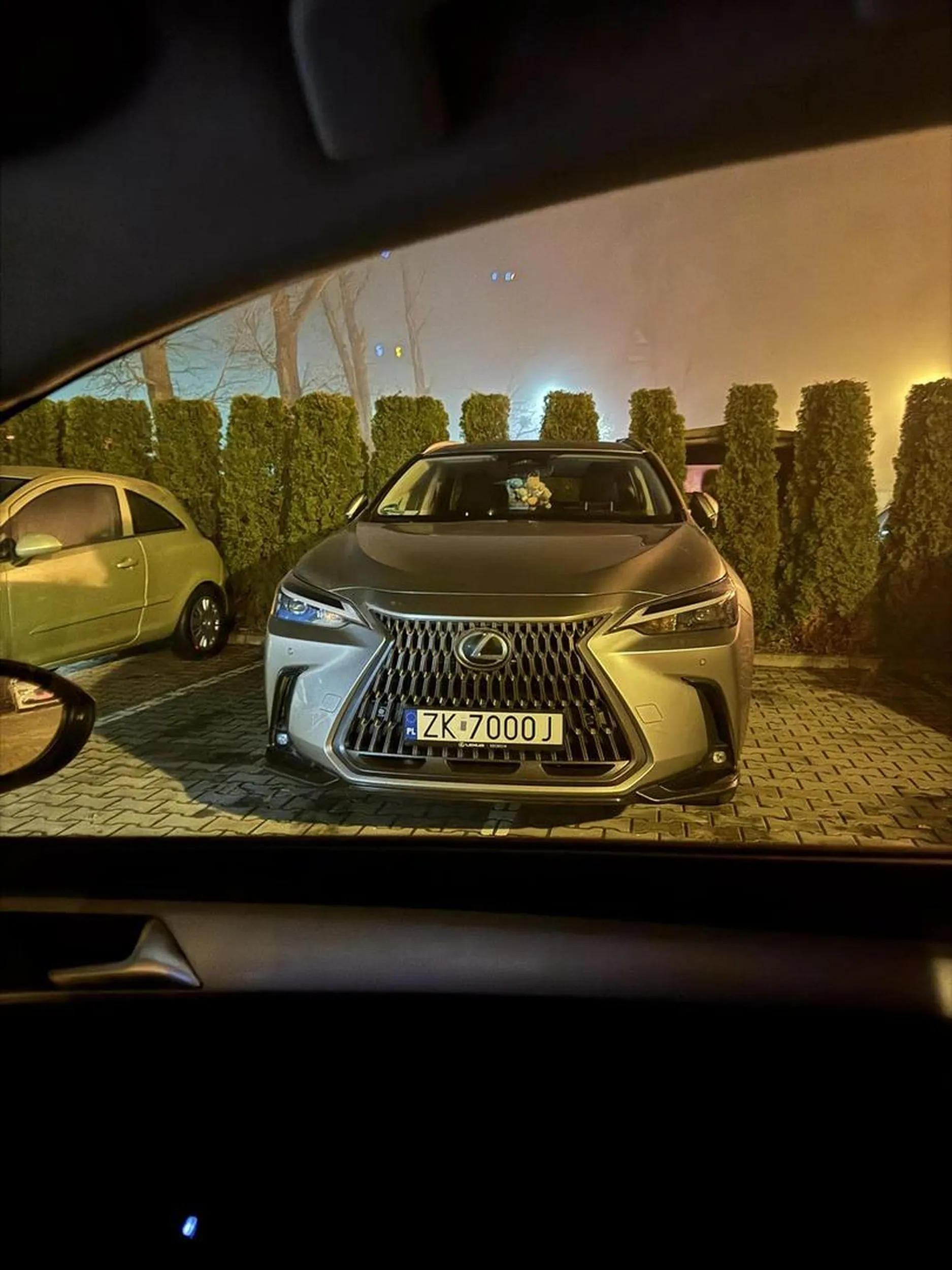 Nie potrafi ładnie parkować