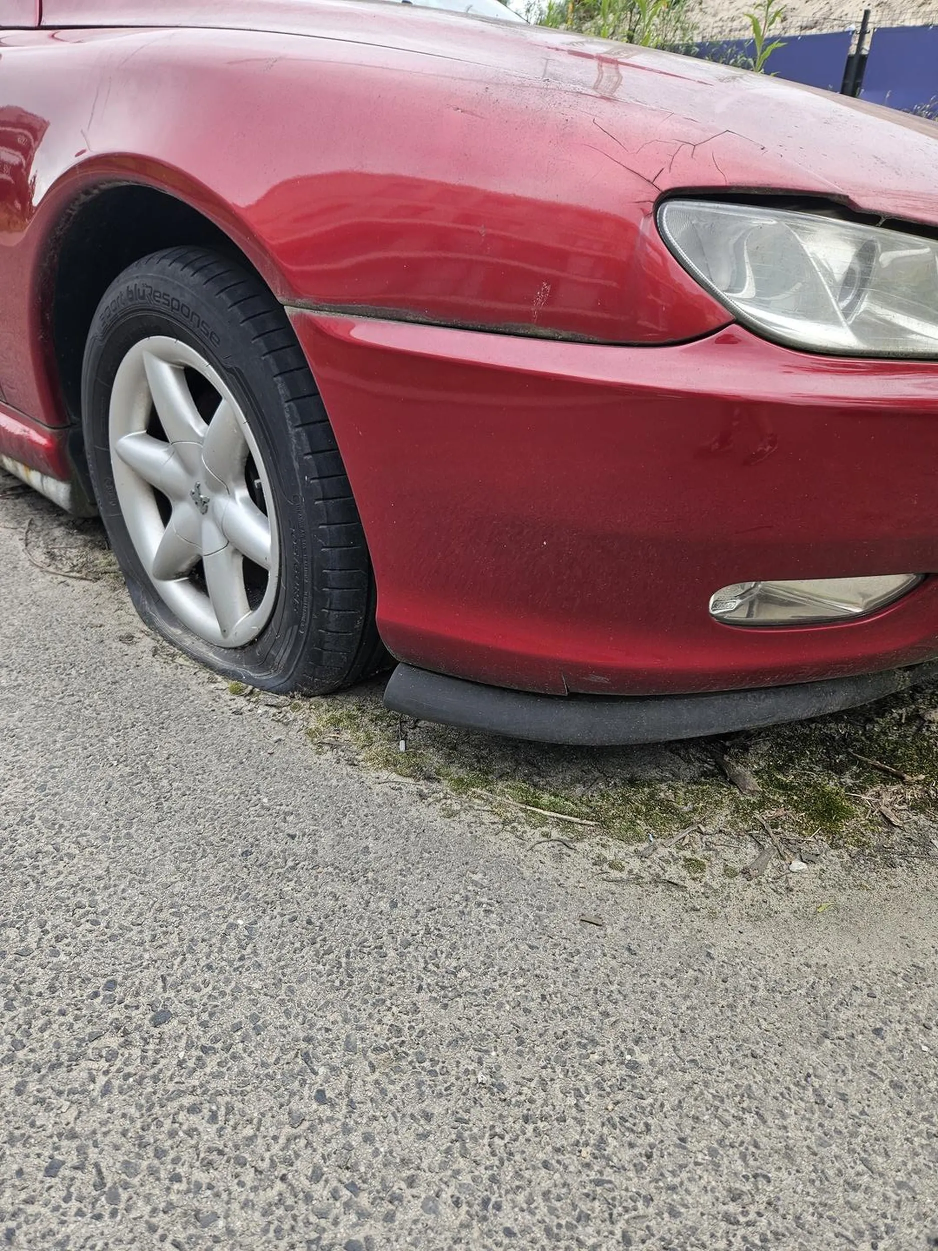 Samochód chyba nie był używany od czasów wojny secesyjnej, zdążył wychodować własny ekosystem.