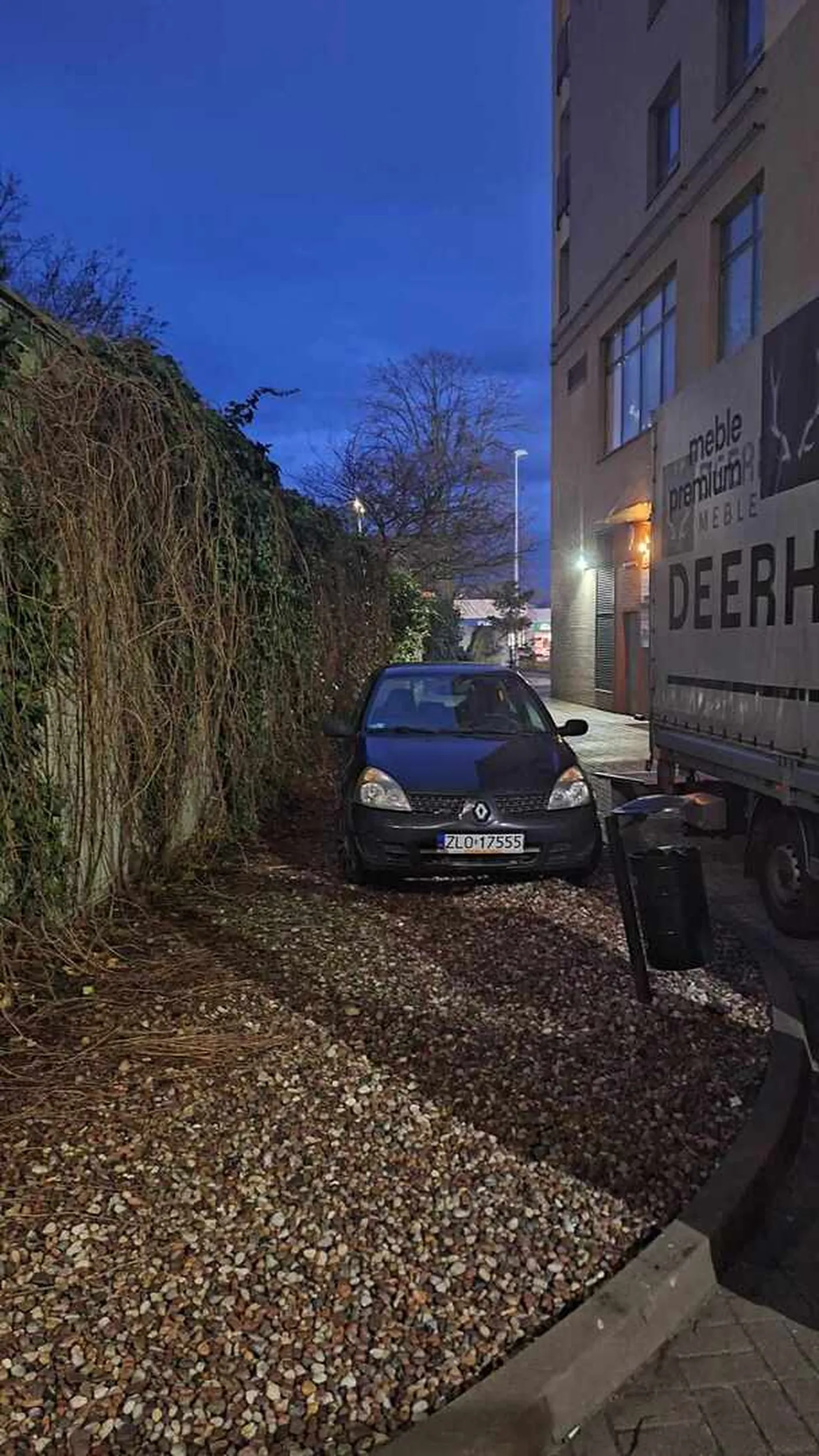 z serii kiedy chce czuć się jak święta krowa