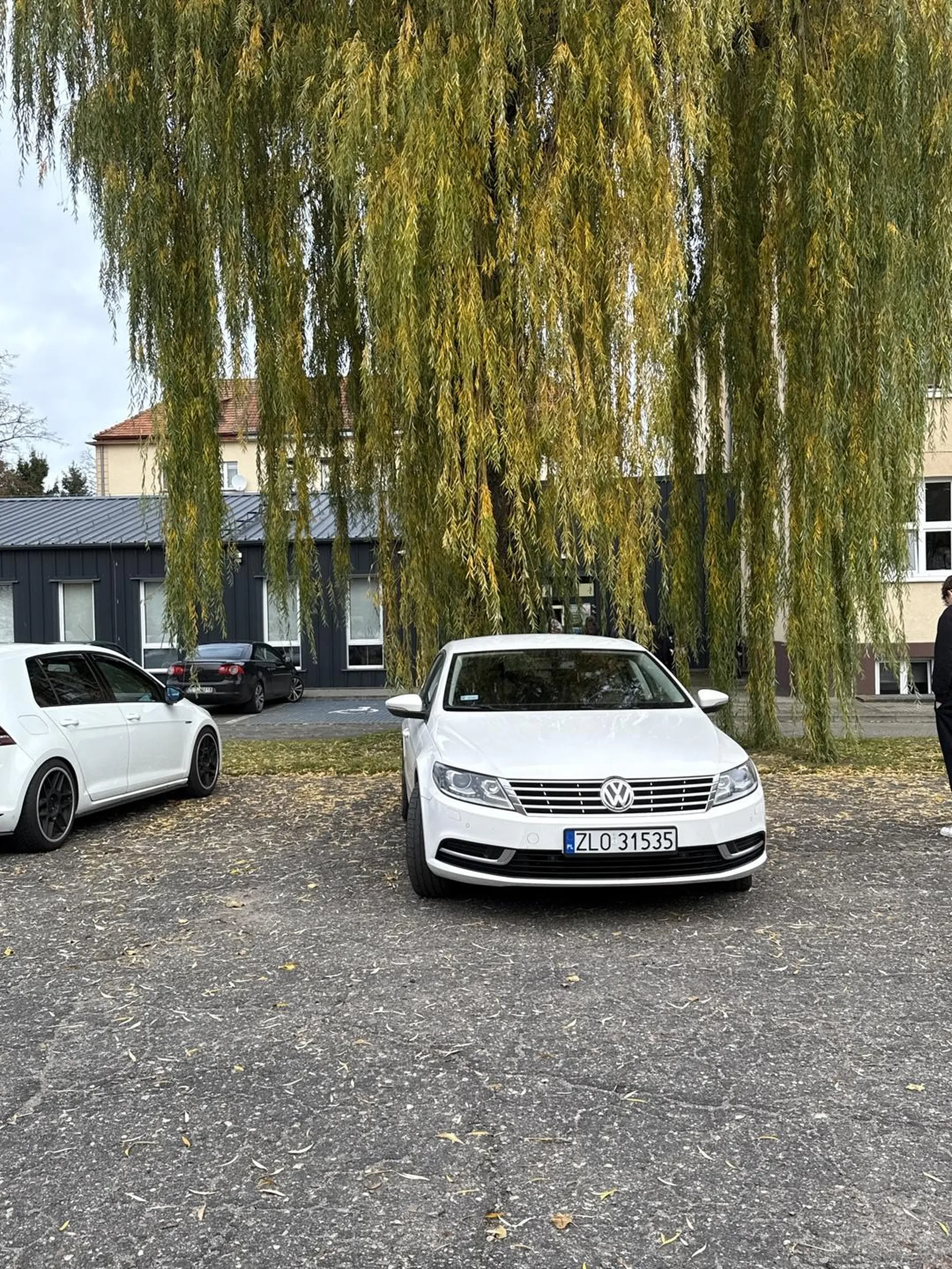 Wymusza pierwszeństwo nie umie parkować