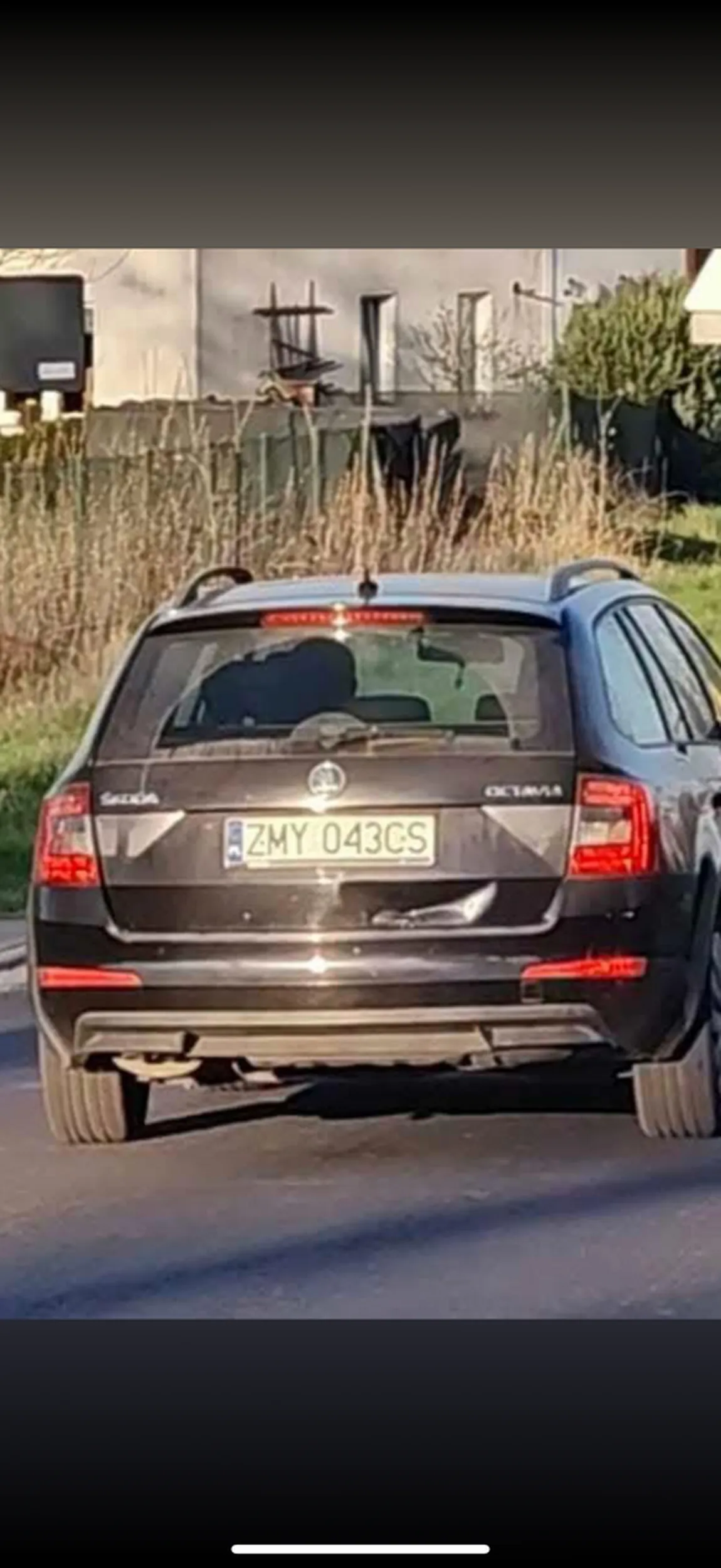 Potrącił psa i uciekł