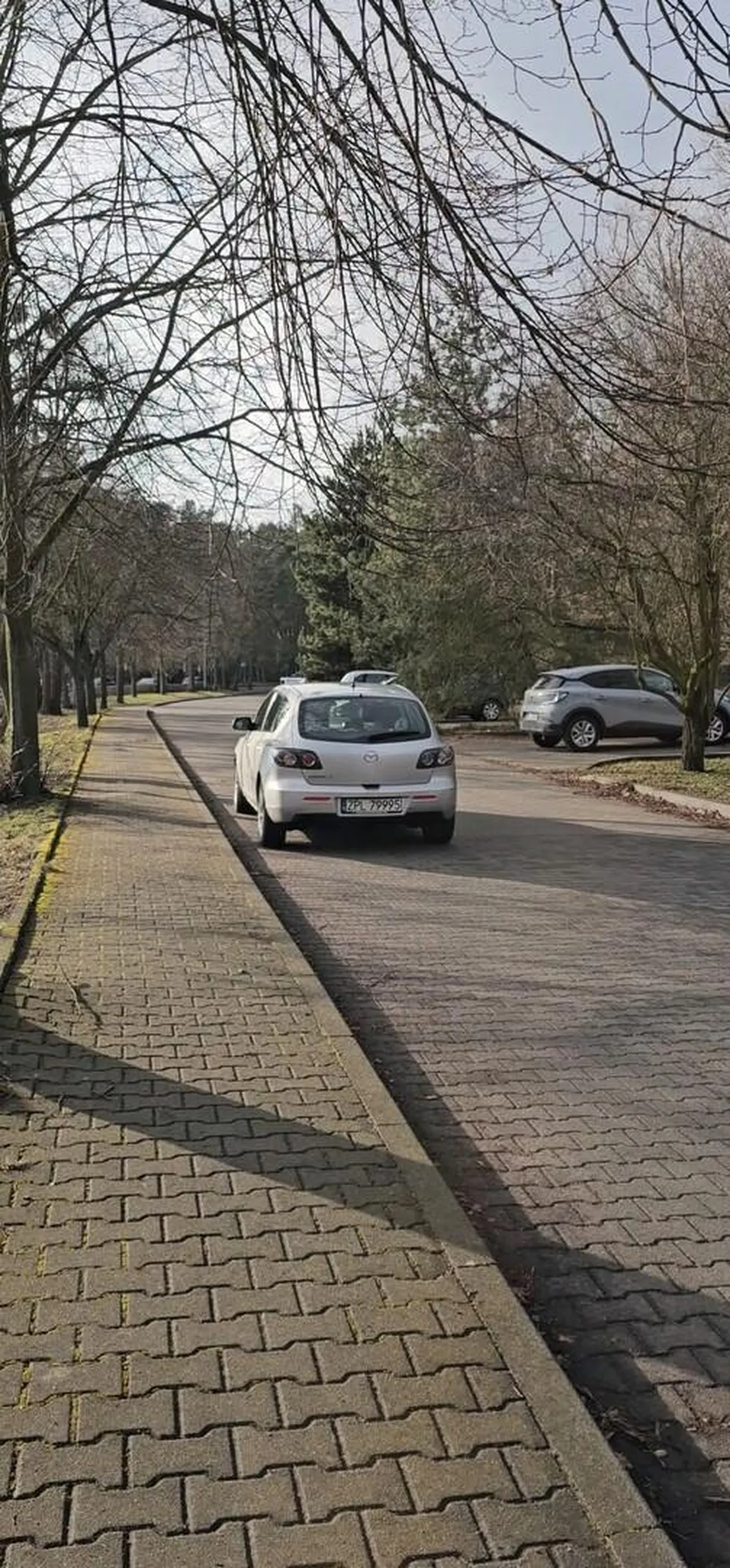 Parking praktycznie pusty ale łoś nie mógł zaparkować na wyznaczonym miejscu.