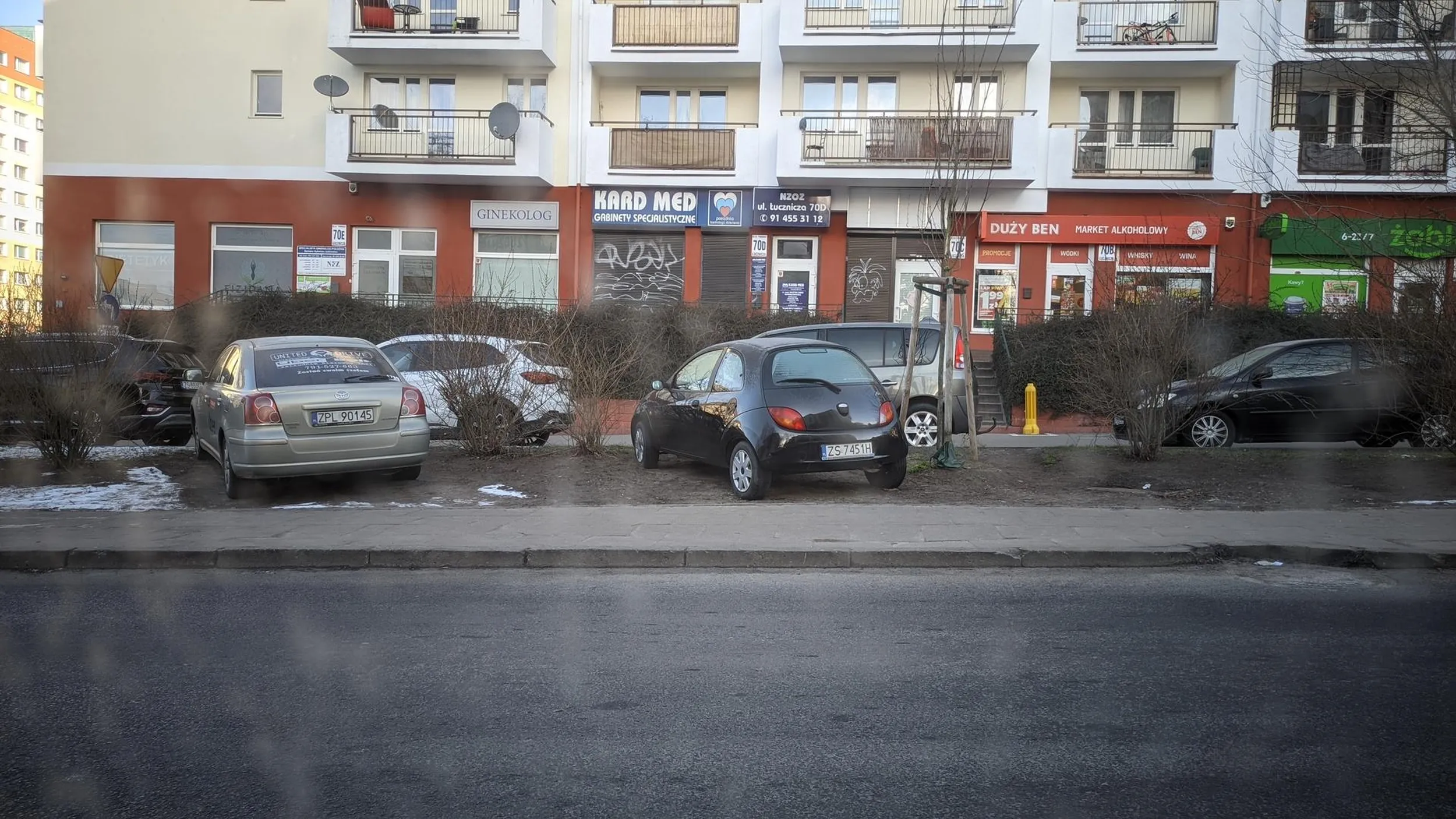 Patologia parkowania