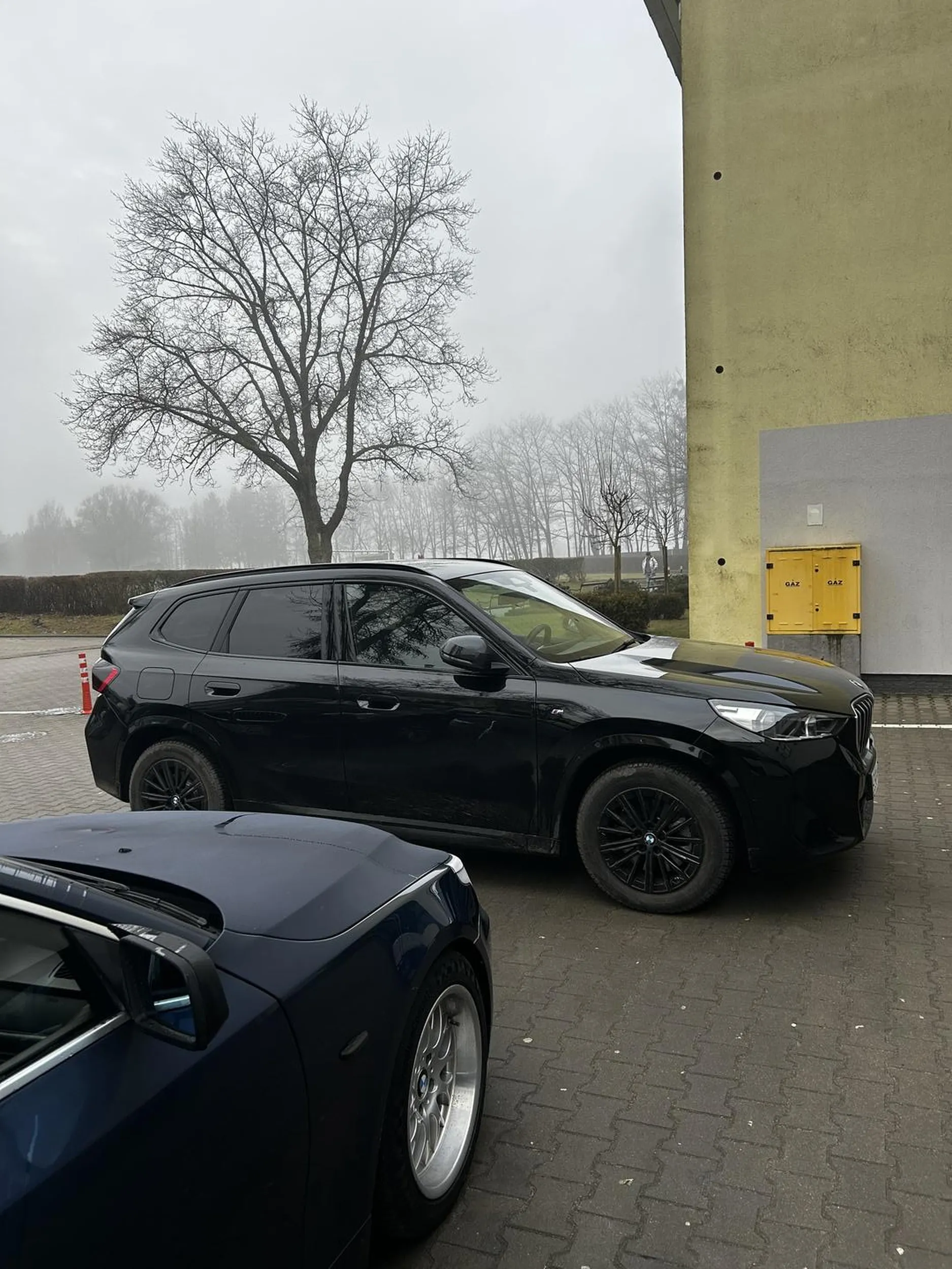 Zastawiła dwa auta i się cieszy nie zbyt mądre