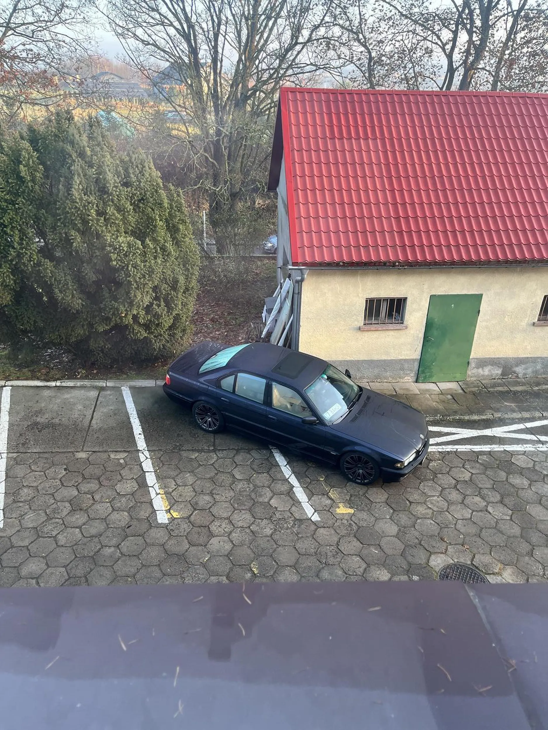 Pięknie stanął jak mój kutas