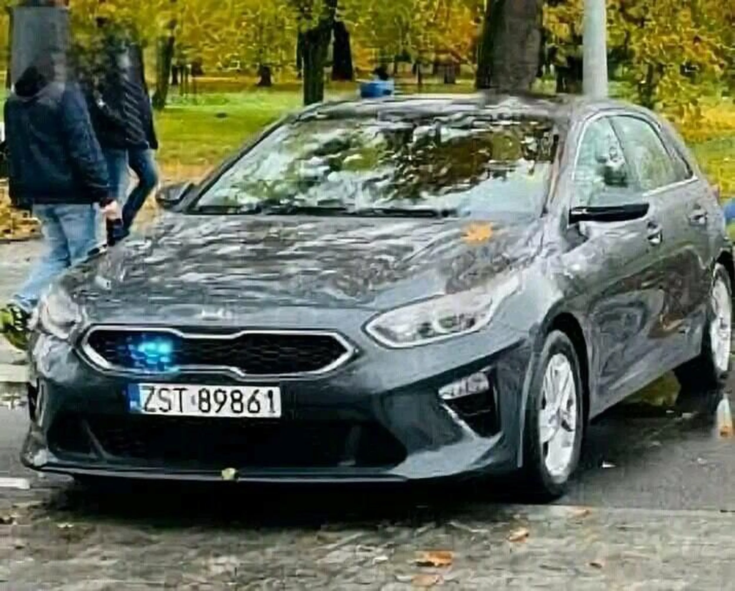 szara kia ceed psy!