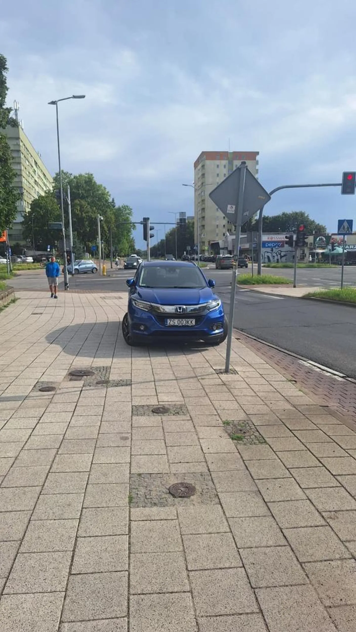 święte krowy w Szczecinie