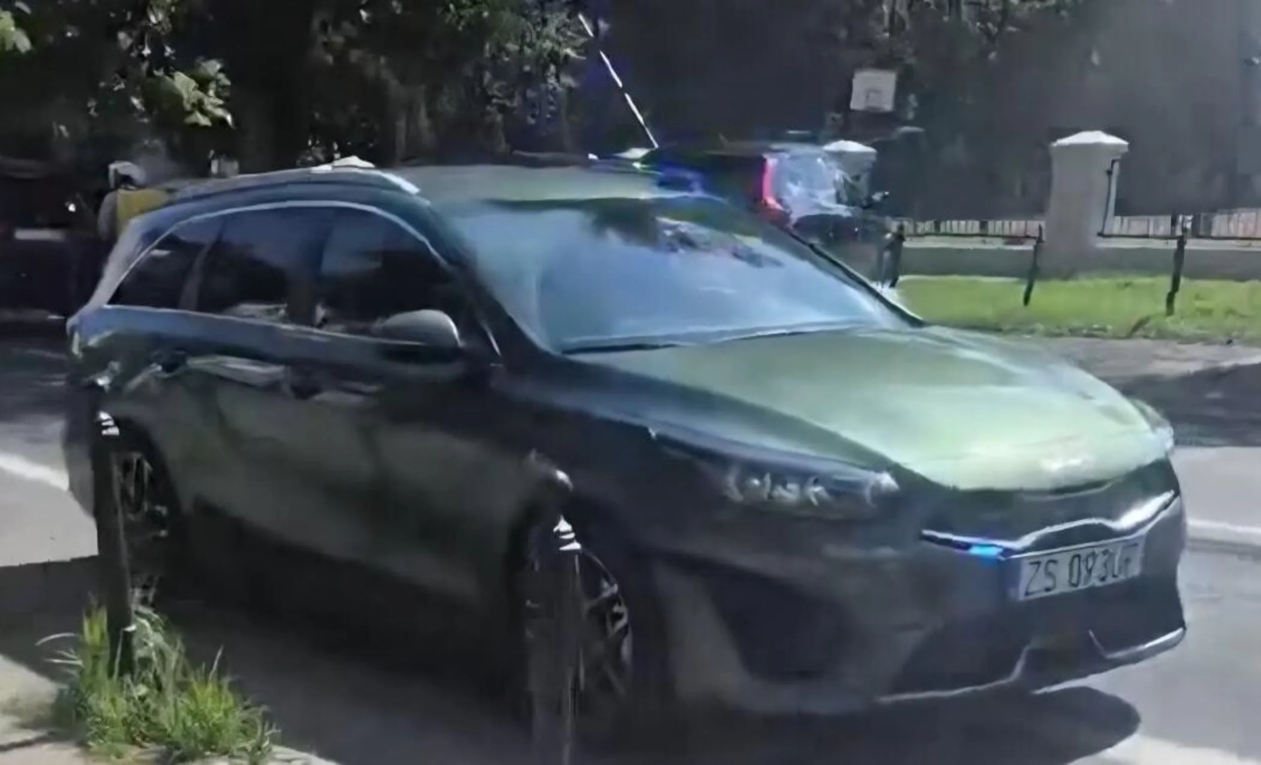 zielona kia ceed psy!