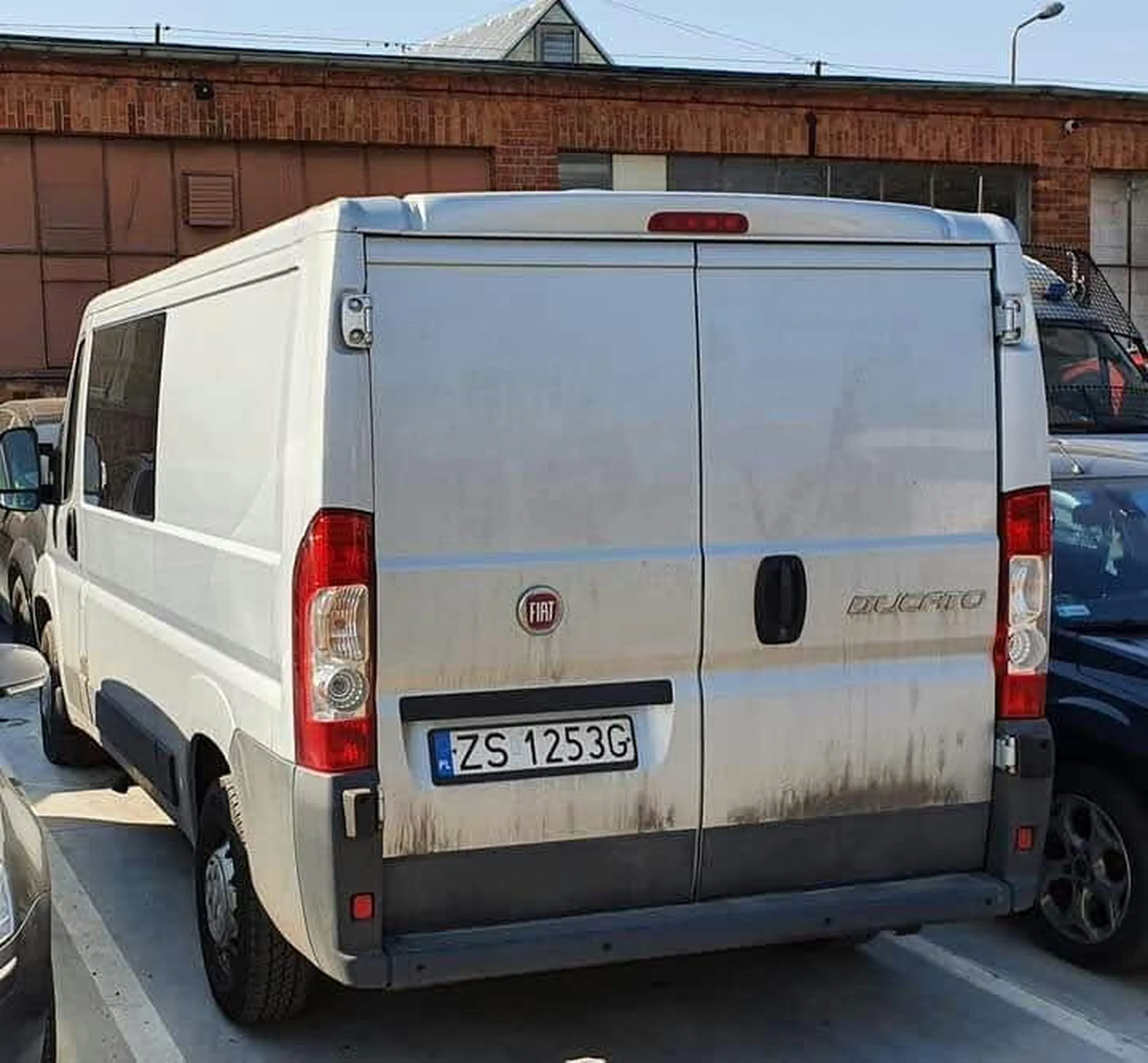 srebrny fiAT ducato psy!