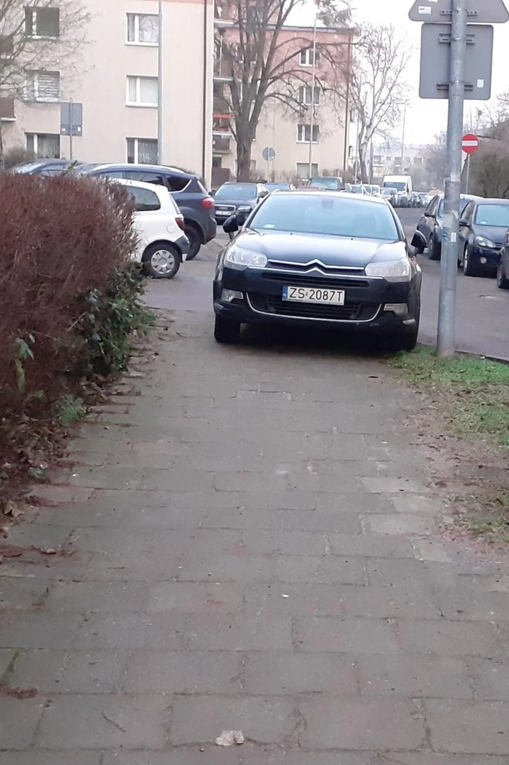 To trzeba być prostakiem i chamem aby tak stanąć przy szkole.