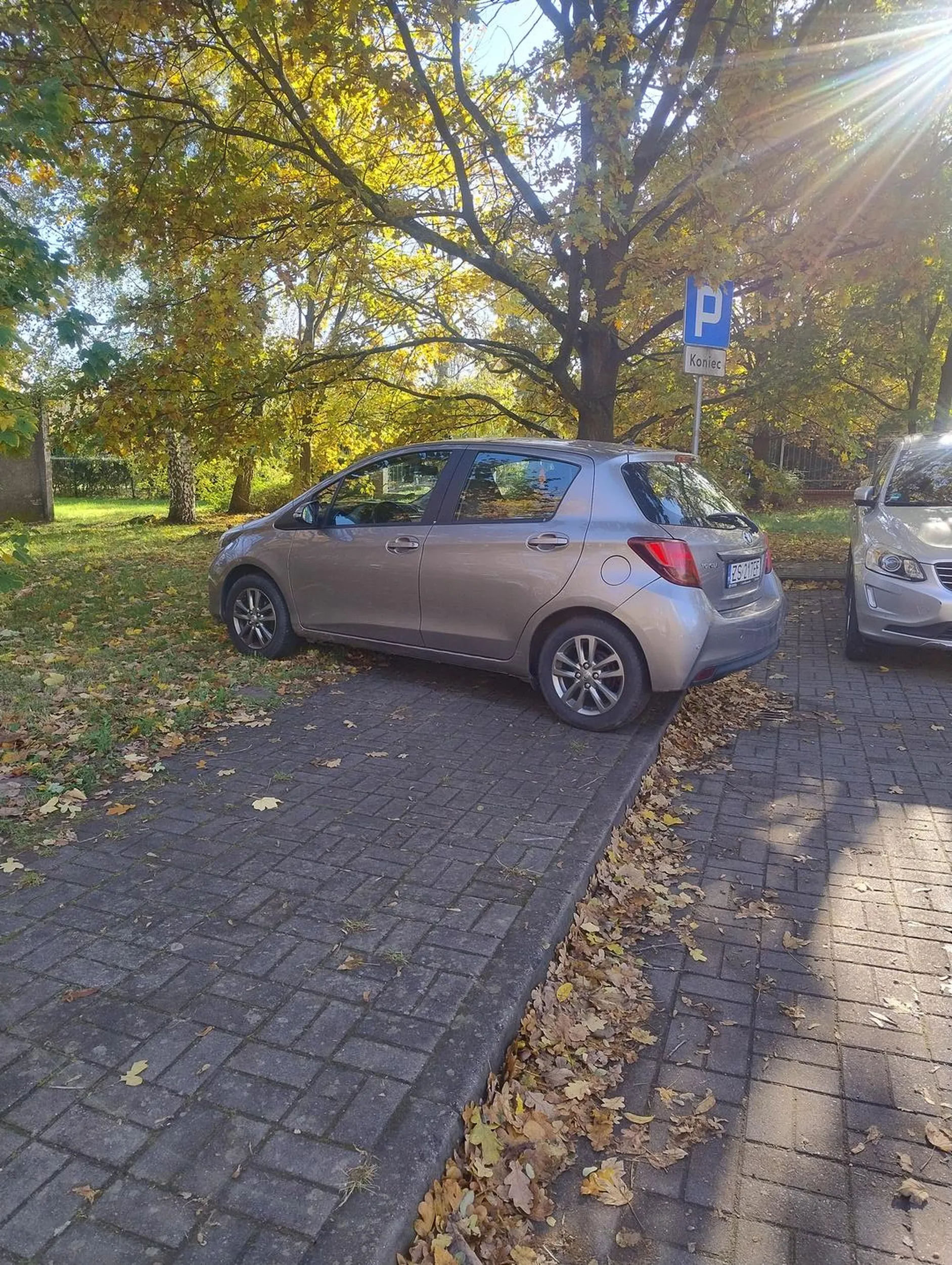 Panicz przyjechał na cmentarz dlatego w tym dniu chodnik zablokowany