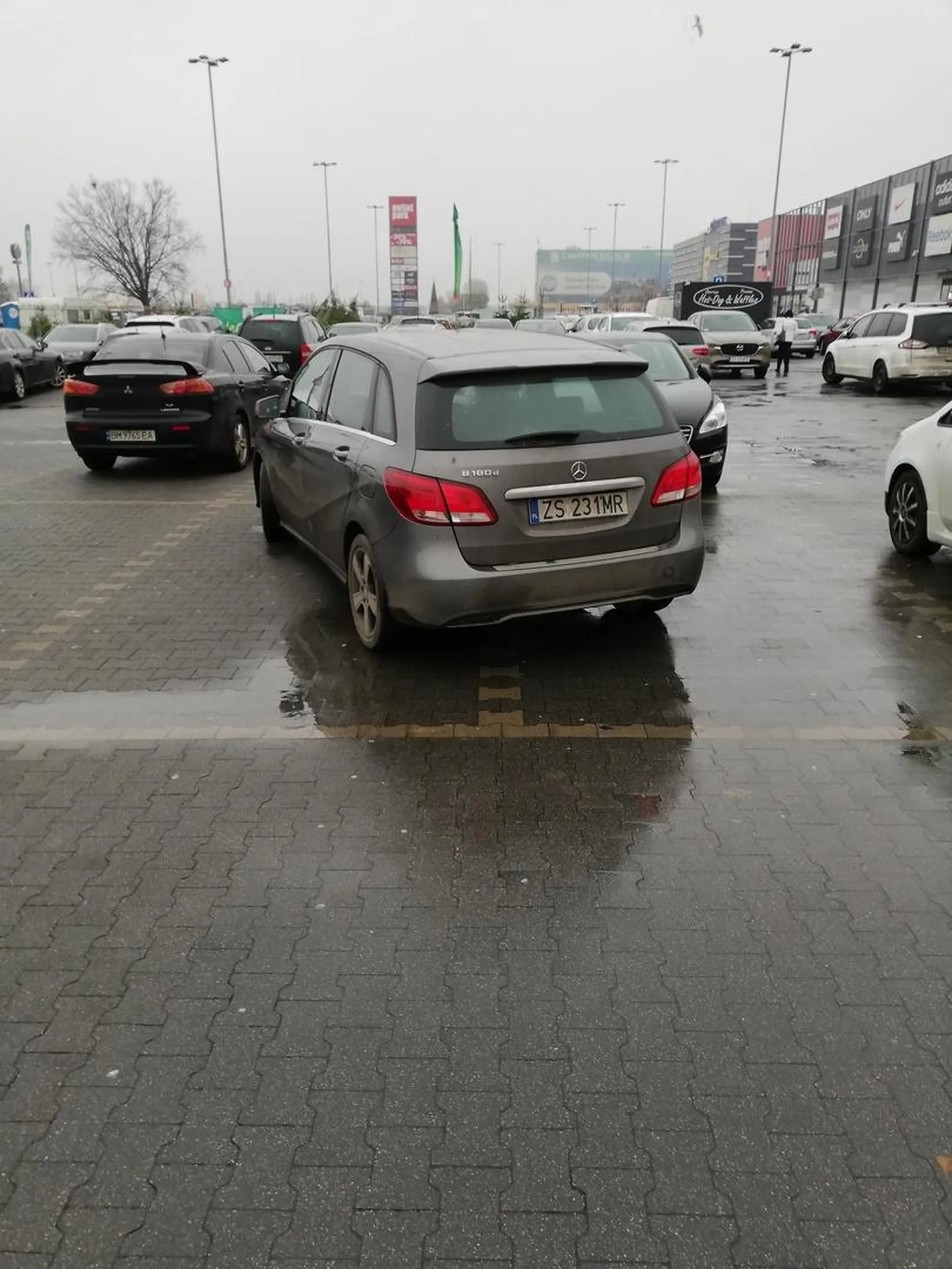 Zaparkowane na 2 miejsca, egoista