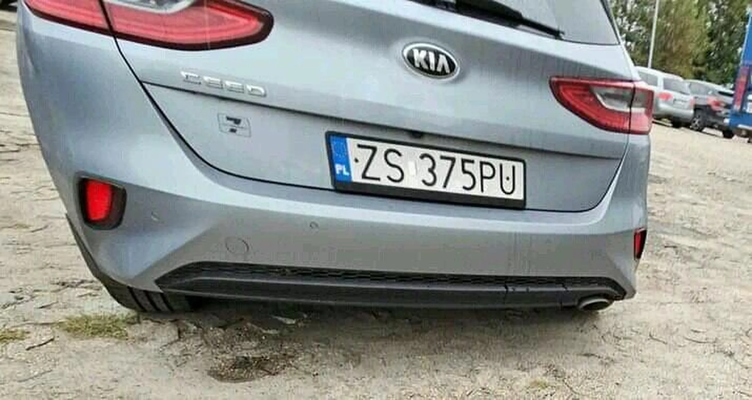 szara kia ceed psy!