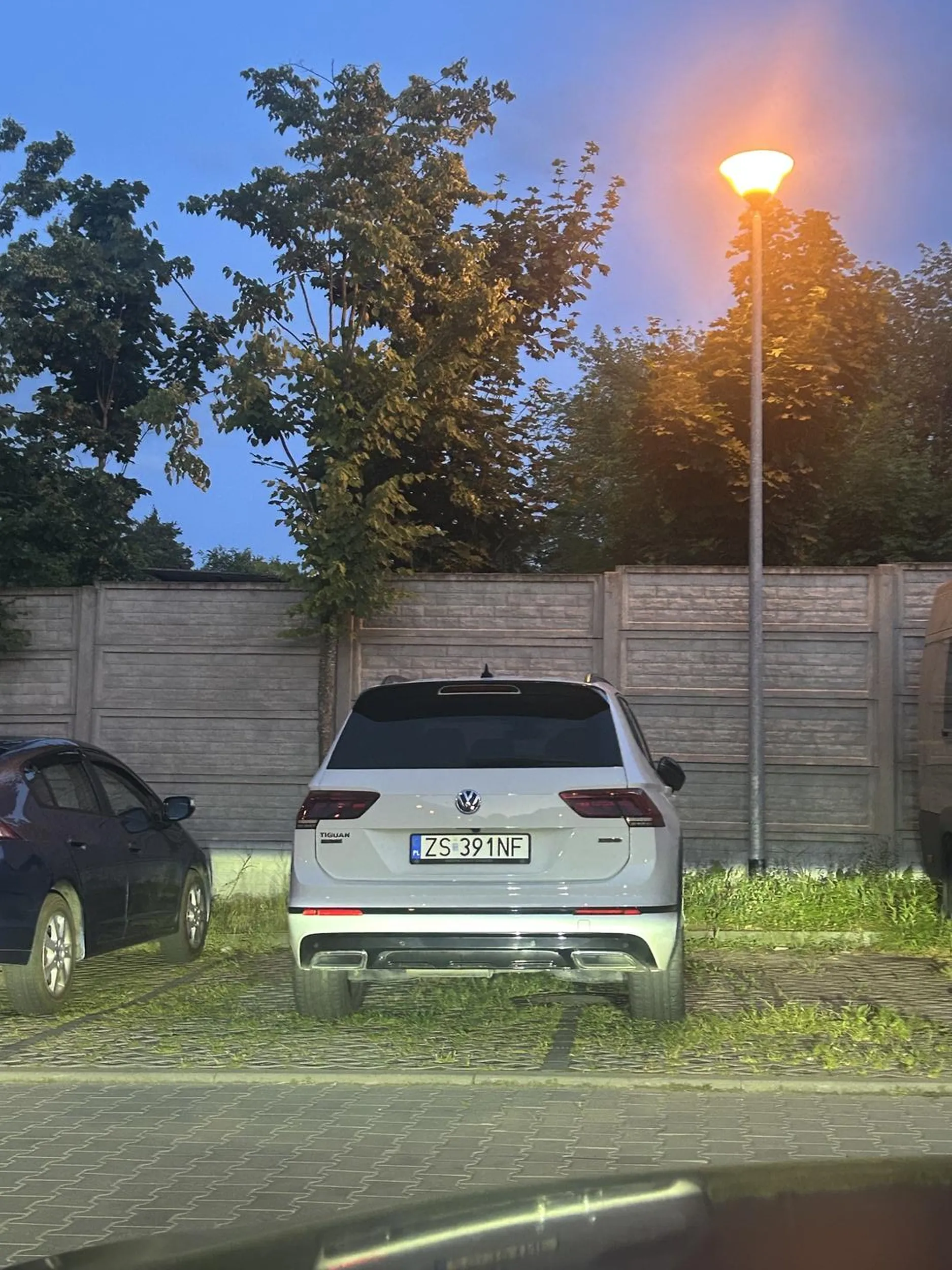 Zalecany dodatkowy kurs parkowania. Naucz się parkować cvelu