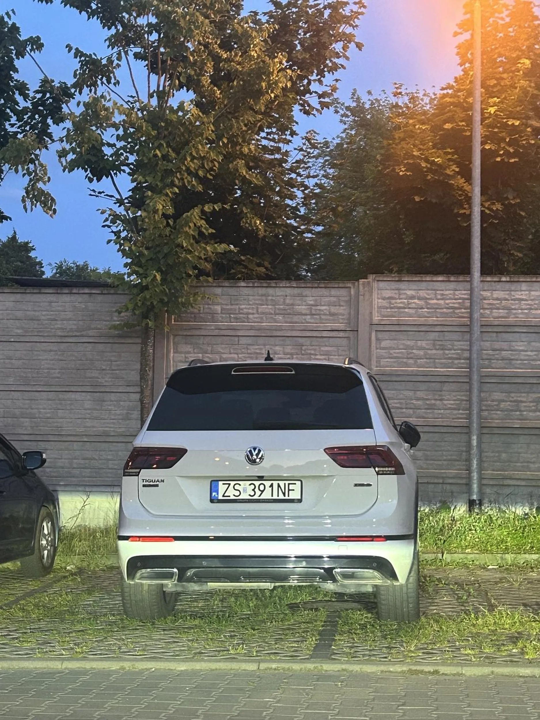 Zalecany dodatkowy kurs parkowania. Naucz się parkować cvelu