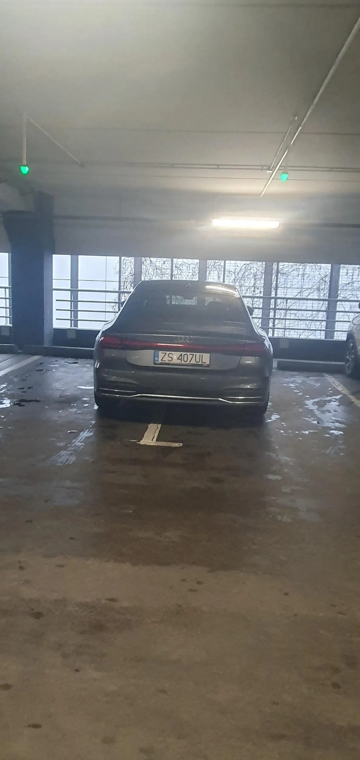 Mistrz parkowania jak widać