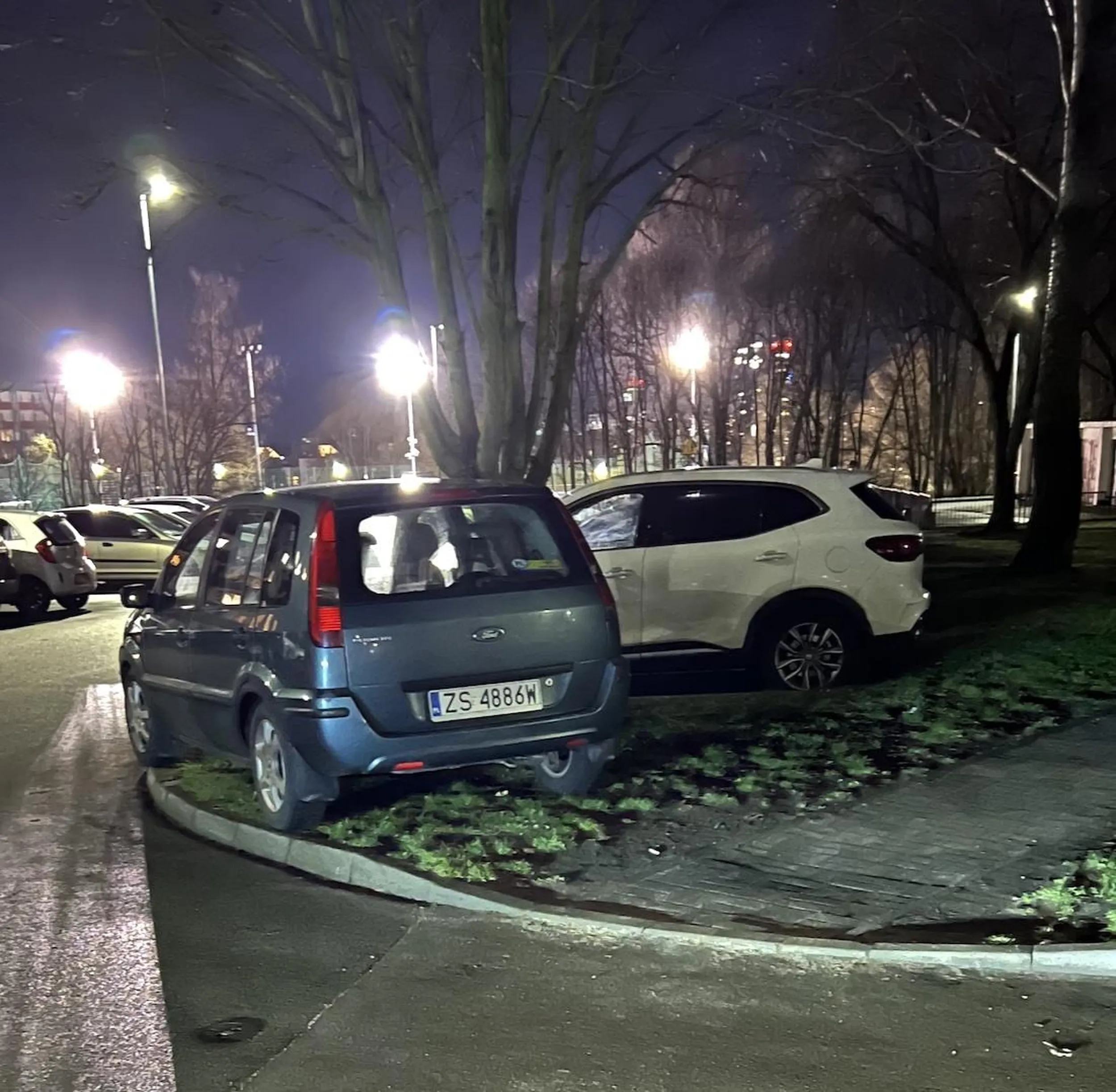 pod drzewkiem opodal krzaczka parkowała kaczka dziwaczka.