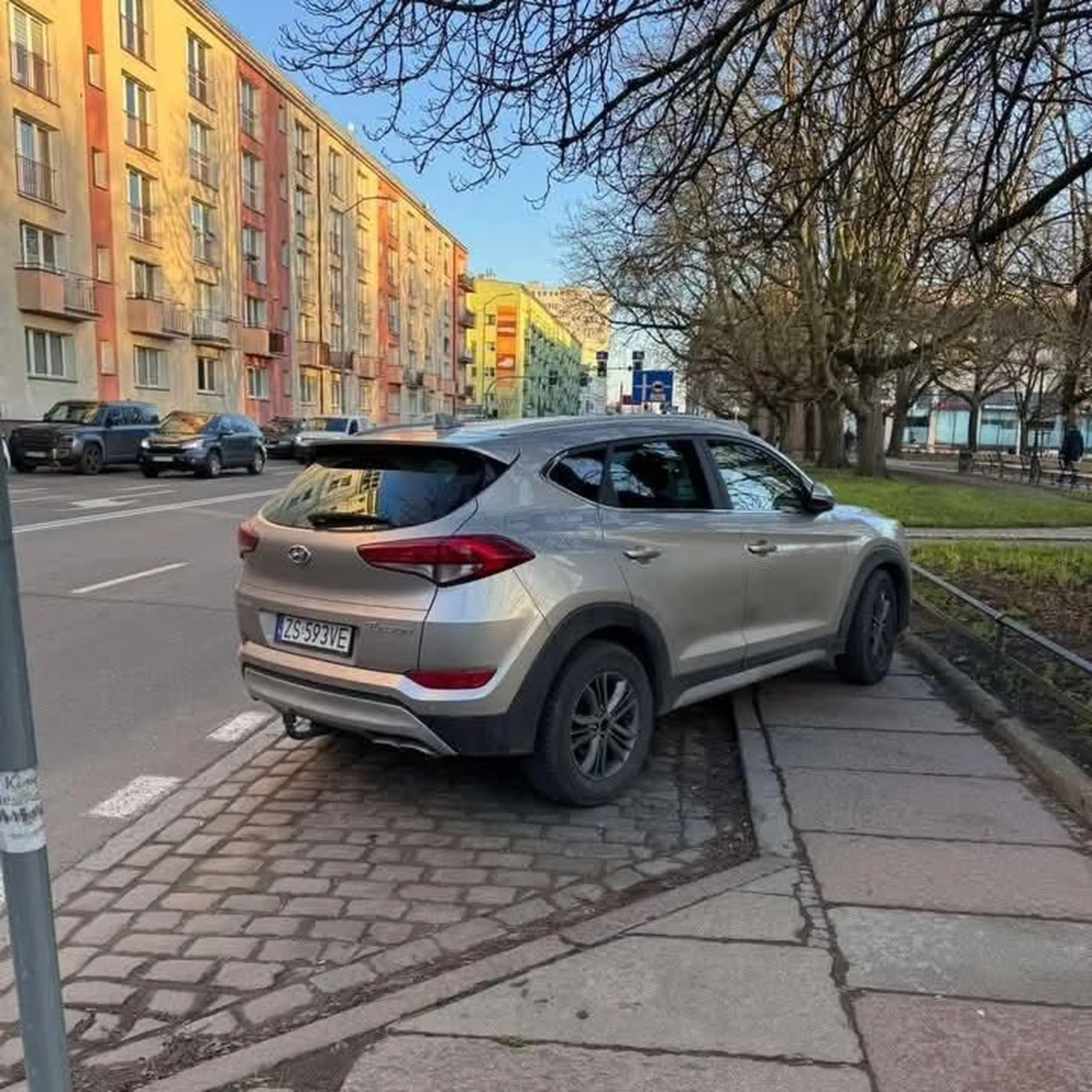 Słyszałeś kiedyś o konieczności pozostawienia 1,5m chodnika? Ty zająłeś dokładnie cały? Jak pieszy ma tu przejść? O osobie niepełnosprawnej nie wspomnę.