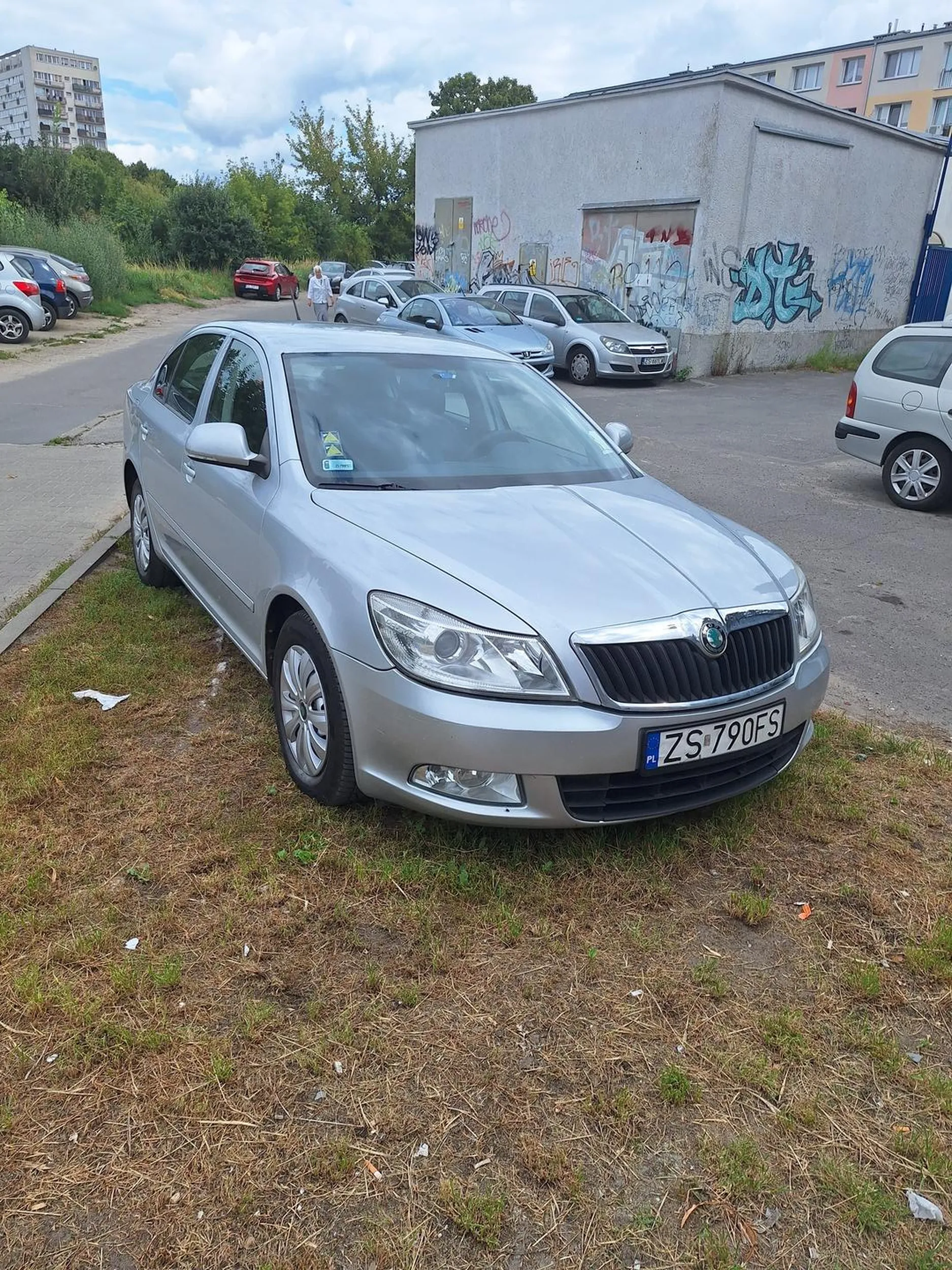 Stoi na trawniku jak ta menda