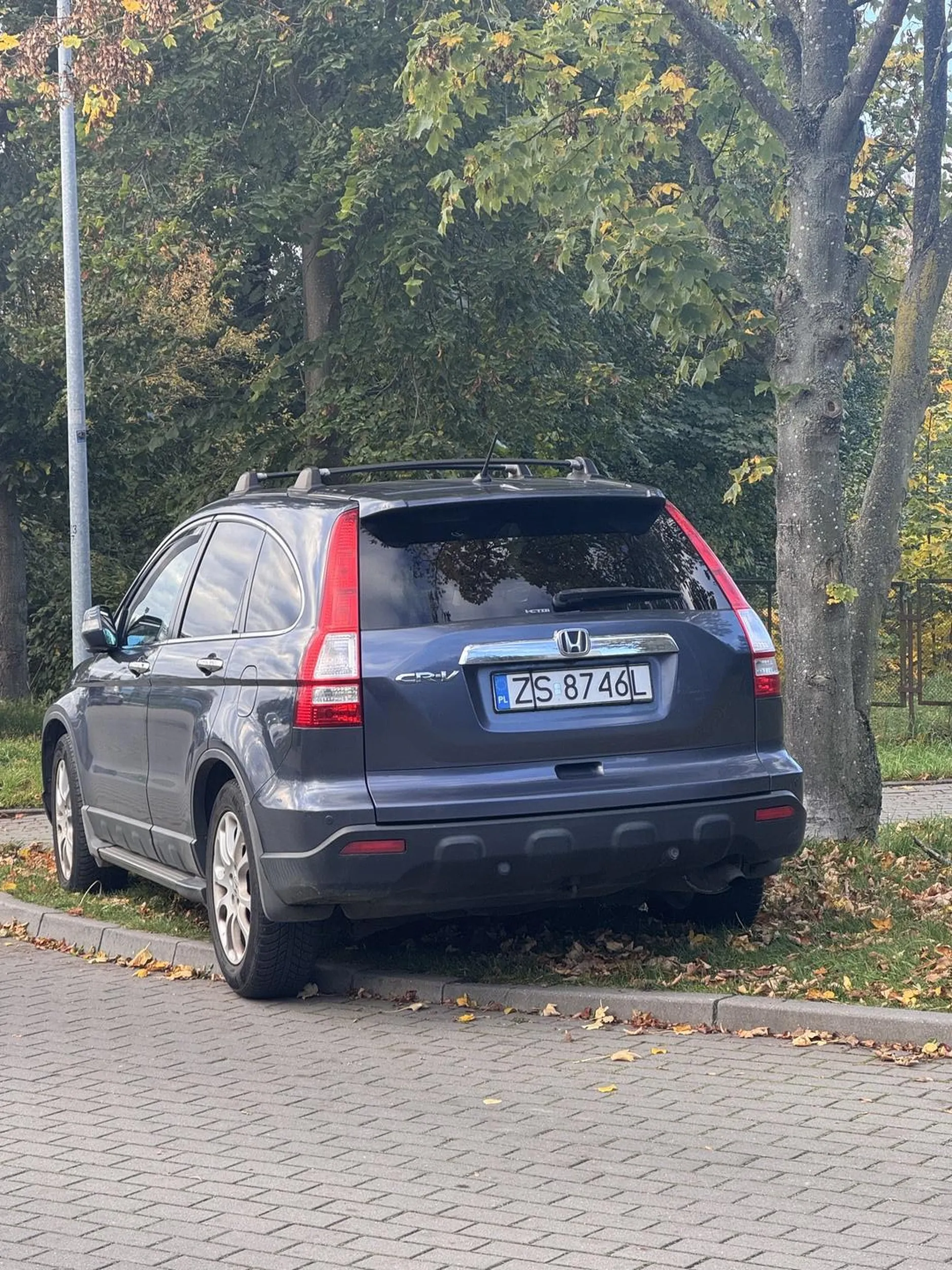 Parkowanie na pasie zieleni, do tego w pobliżu przejścia dla pieszych.