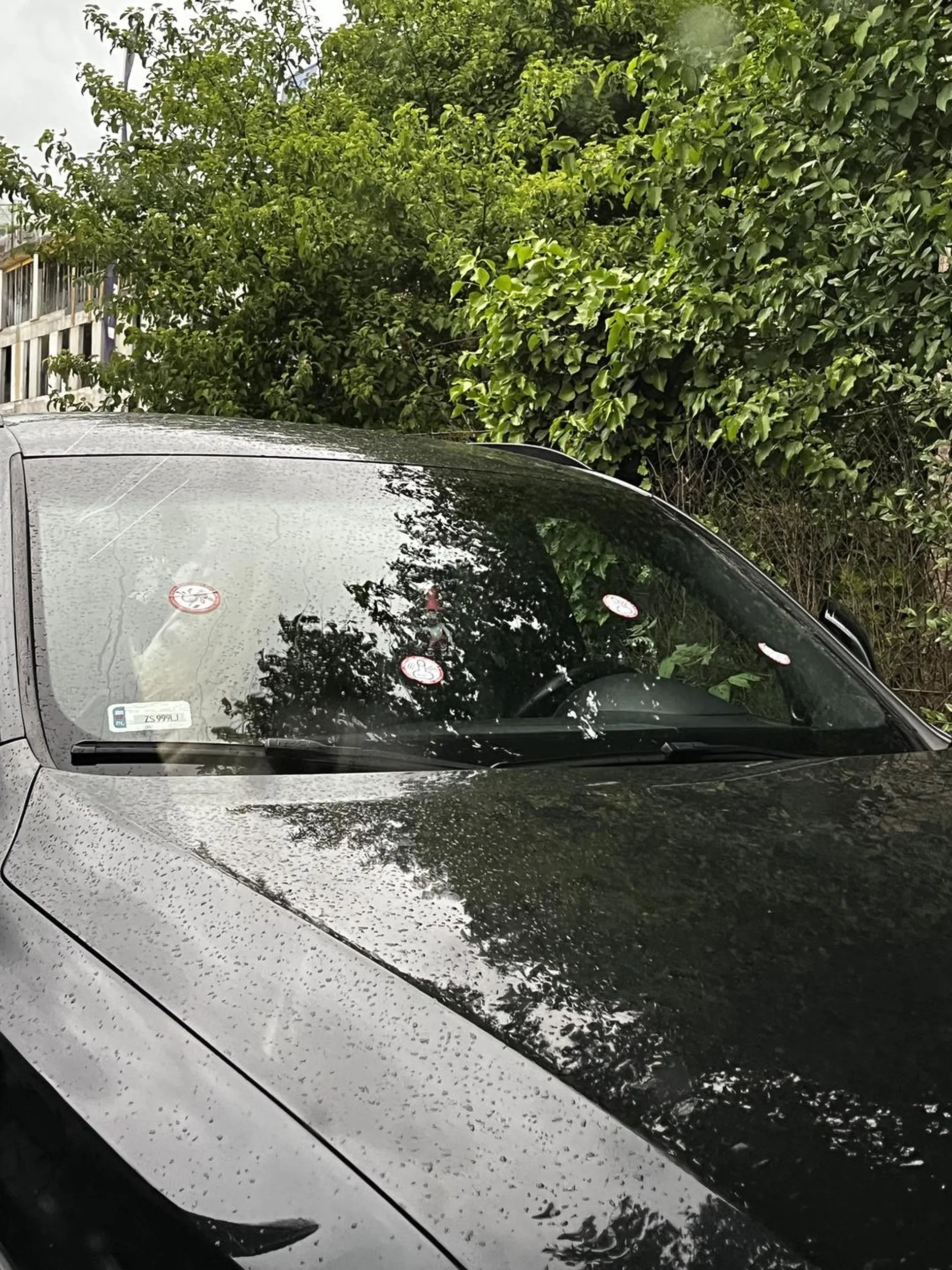 zajebiscie parkujesz kondonie