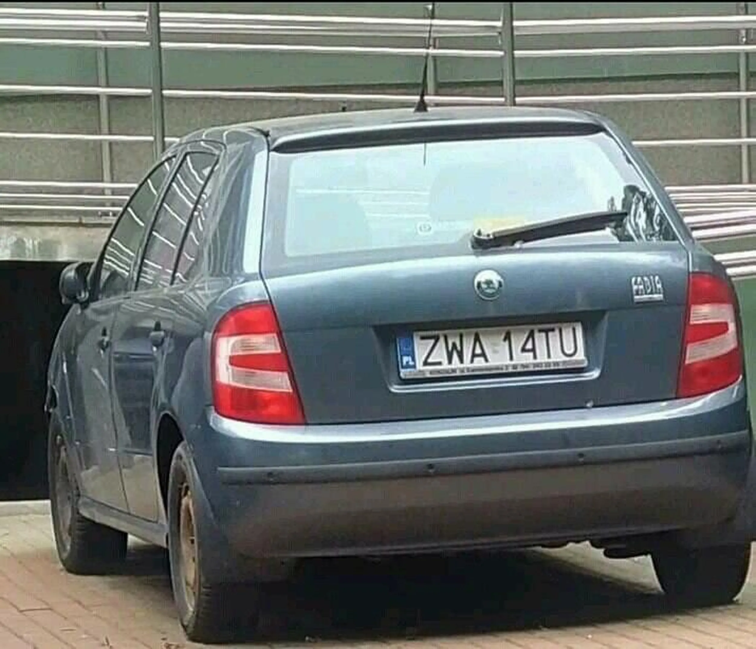 szara skoda fabia psy!