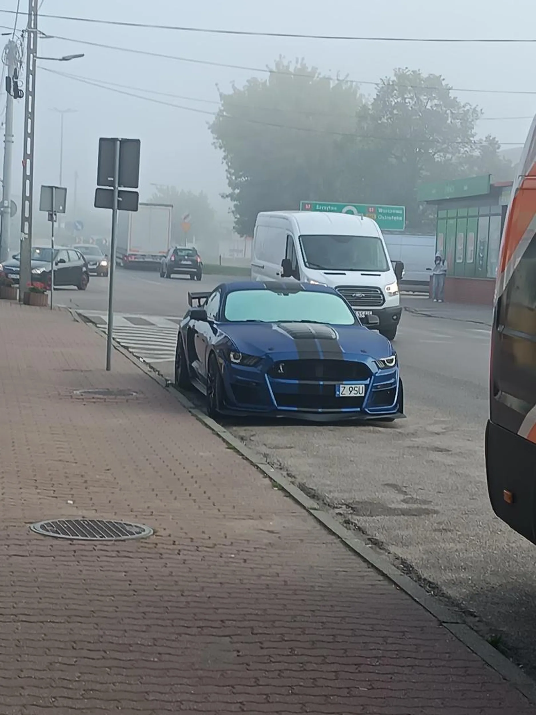 Bardzo clean mustang oby więcej takich. Pozdrowienia z Przasnysza