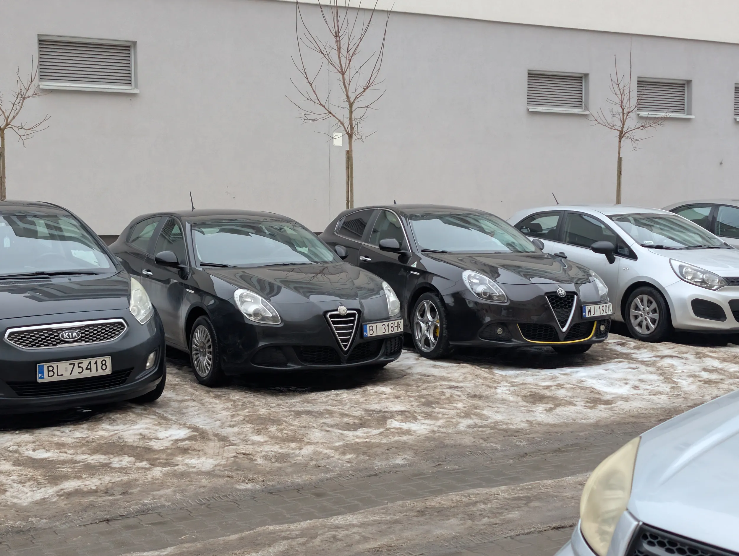 Potrzebowałem 4 sekund żeby zrozumieć kto podmienił mi grill. Dopiero kiedy podszedłem bliżej zrozumiałem że ten widok zrobi mi dzień