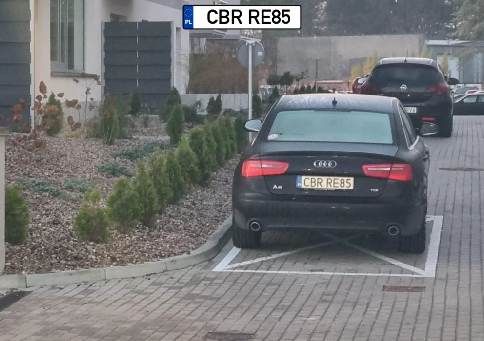 Egzaminator: Zdałeś!  parkuj tak dalej.