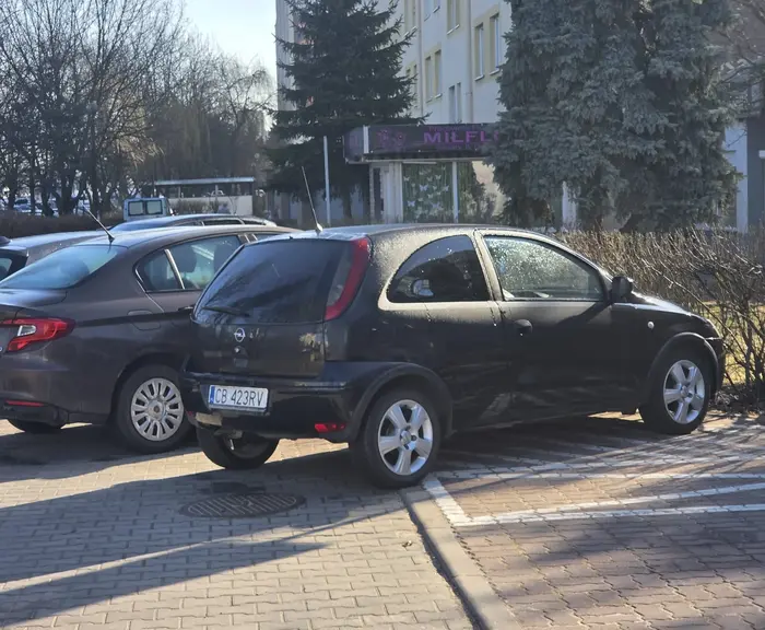 Parkowanie na terenie wyłączonym z ruchu. Pieszy zapewne ma iść po trawie, bo szeryf chciał zaparkować.