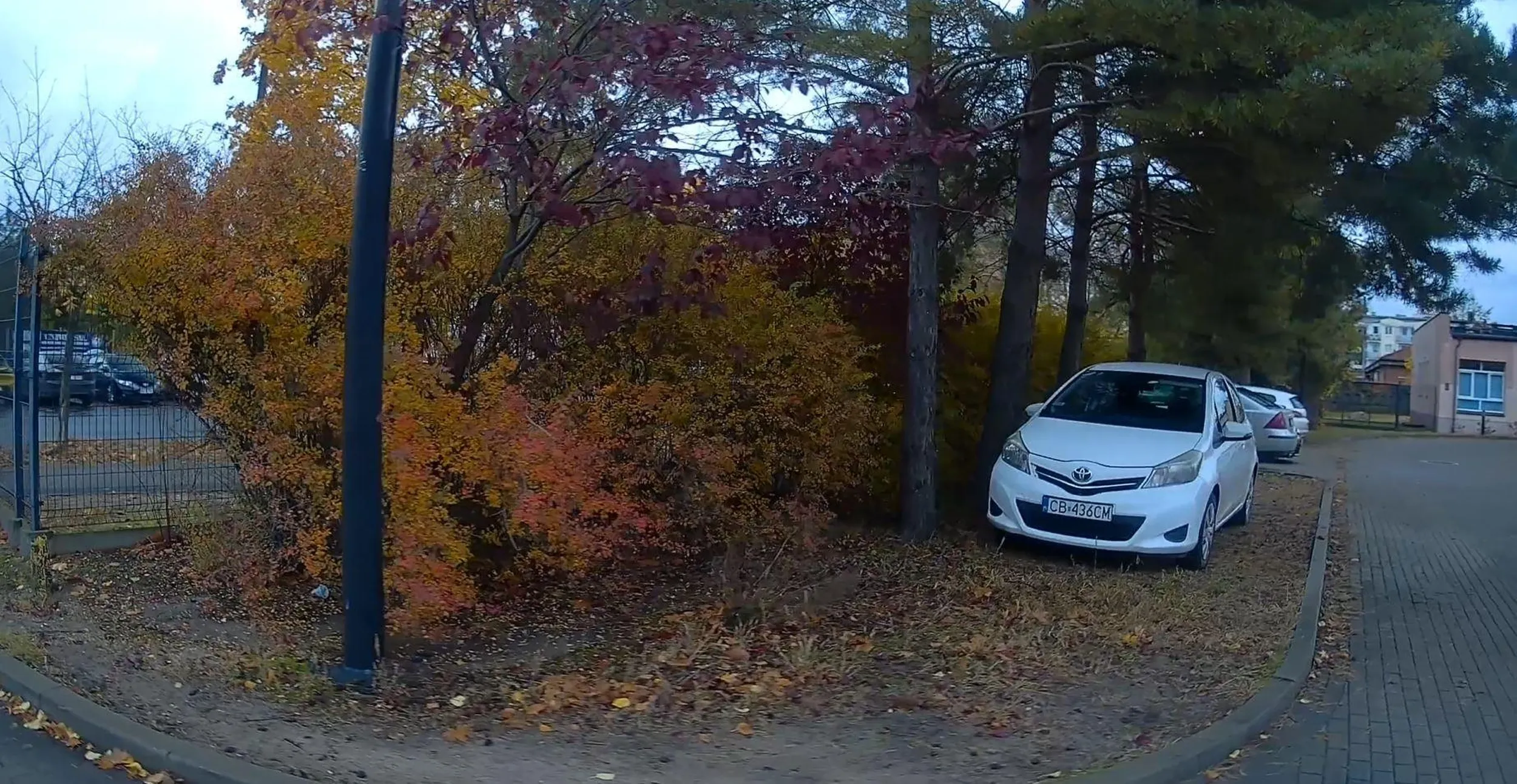 piękne miejsce trawnikowe, oj przepraszam parkingowe