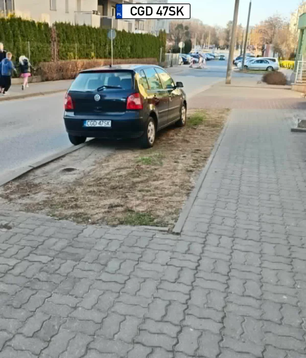 W tle, jakieś 30 metrów dalej, są wyznaczone LEGALNE miejsca parkingowe , jednak dla leniwych kierowców to nie ma znaczenia.