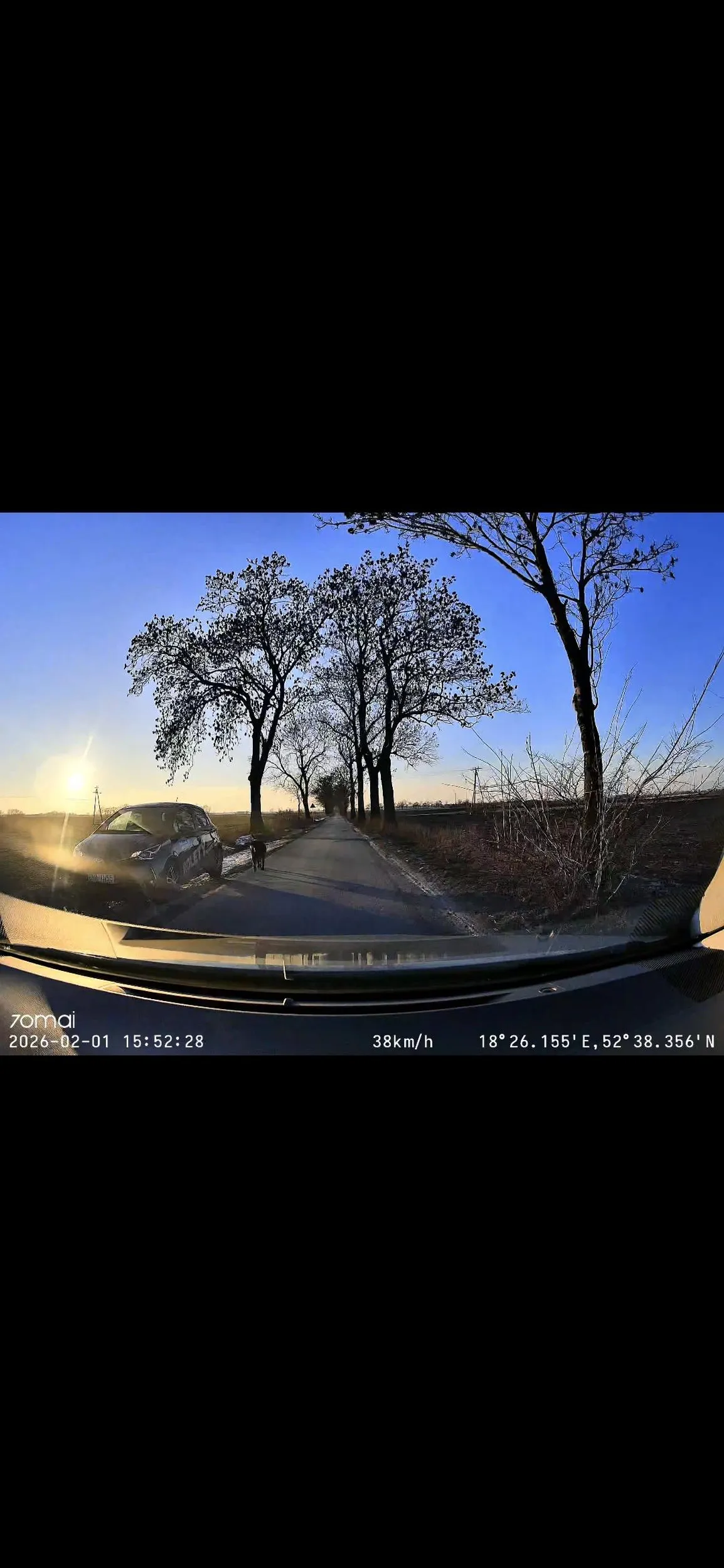 Kierująca Pani autem ma chyba coś nie tak z głową,  temperatura na zewnątrz -10°C ale to nie upoważnia do tego aby wyprowadzać psa siedząc w aucie i jechać obok niego Pani stworzyła w ten sposób realne zagrożenie życia lub zdrowia psa oraz niebezpieczeństwo dla innych kierowców Polecam dobrego psychiatrę i nie pozdrawiam