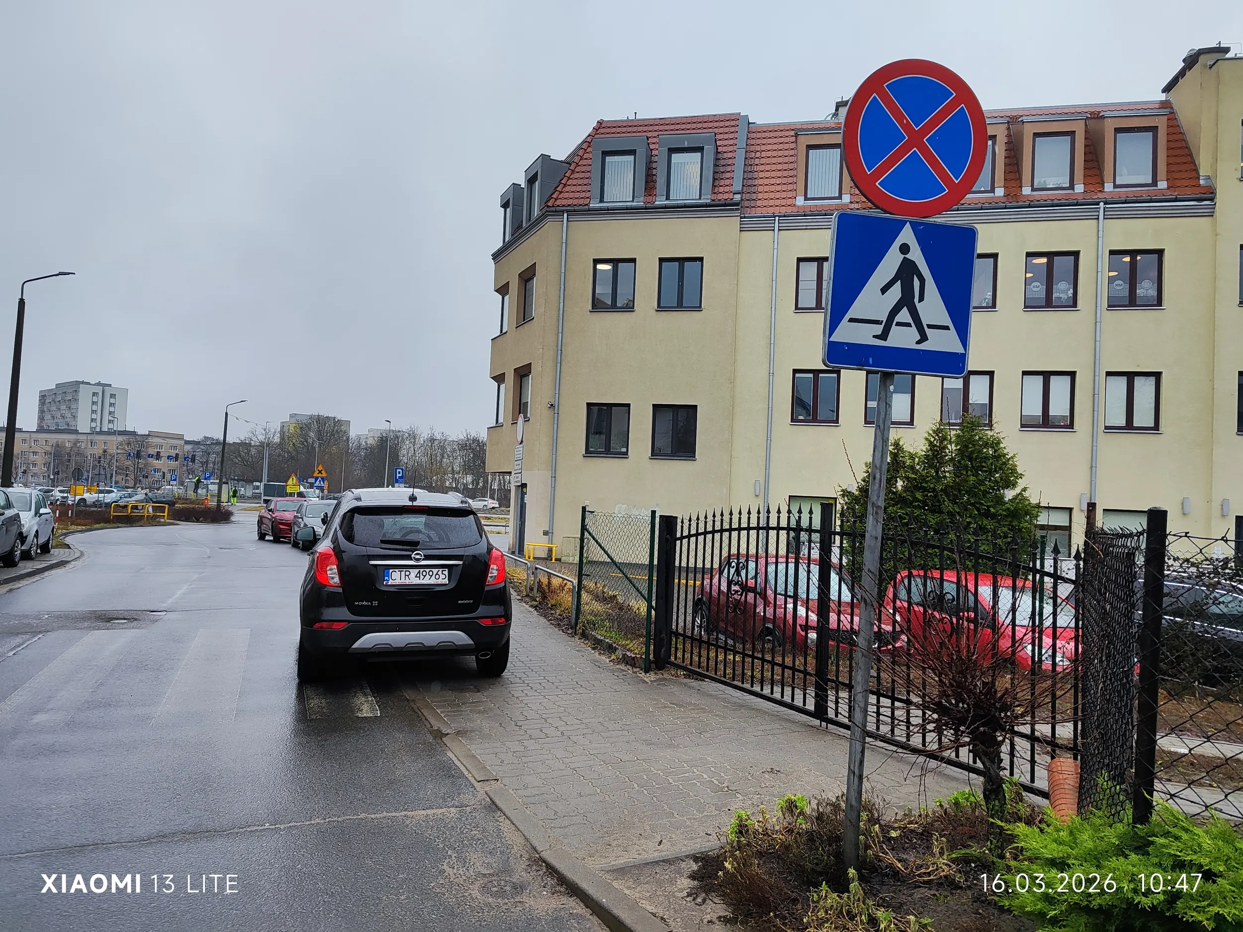 Kolejna święta krowa