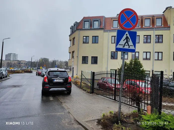 Kolejna święta krowa