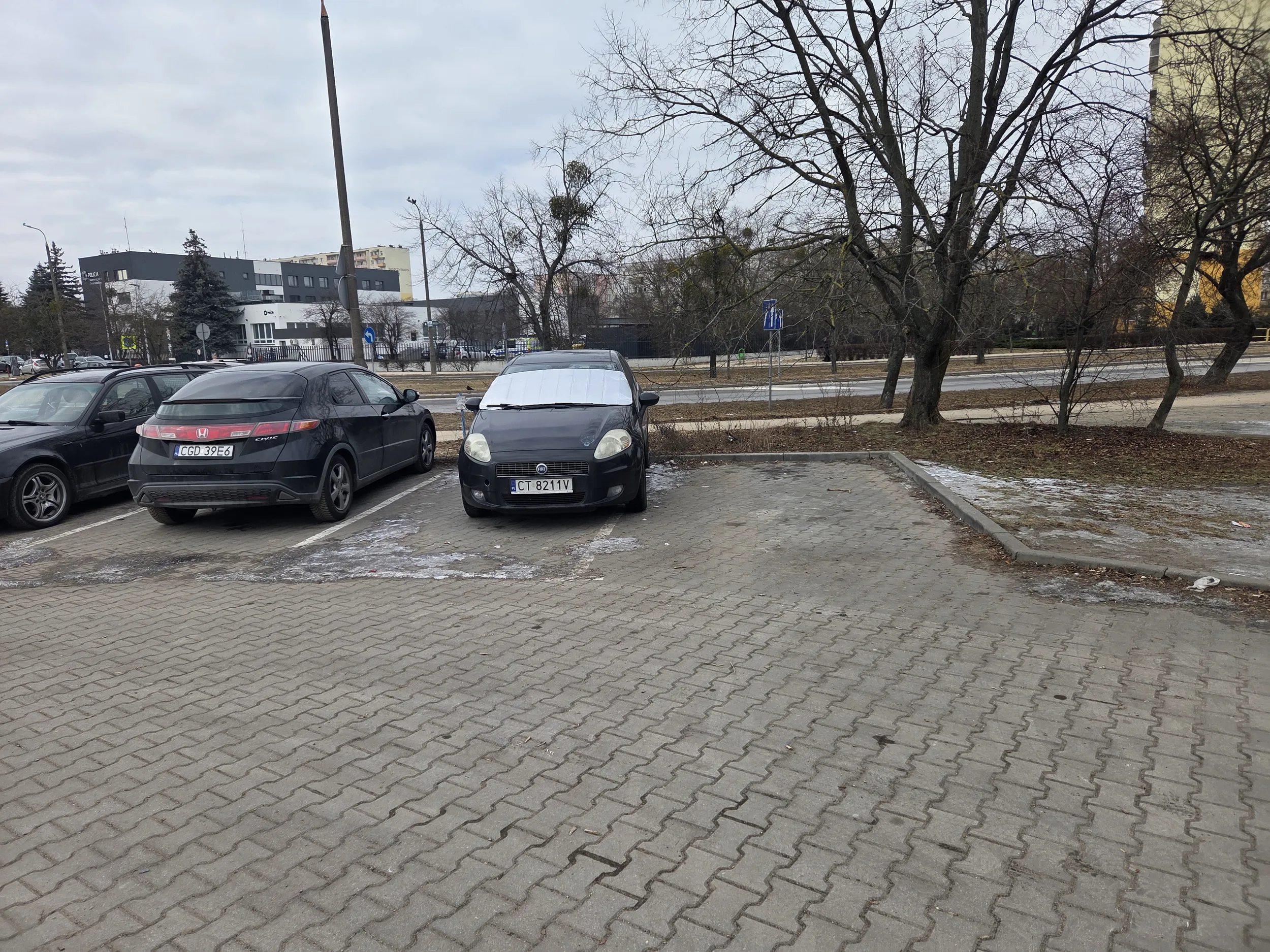 Za duży, żeby się zmieścić w liniach? Ok9lice SP16 w Toruniu